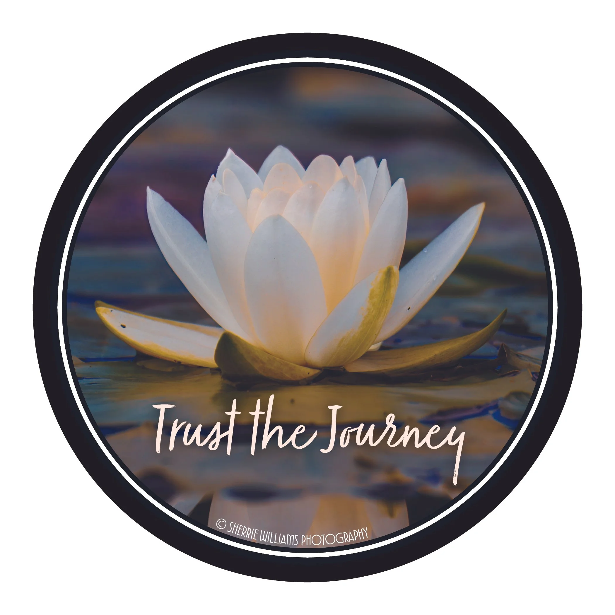 Trust the Journey