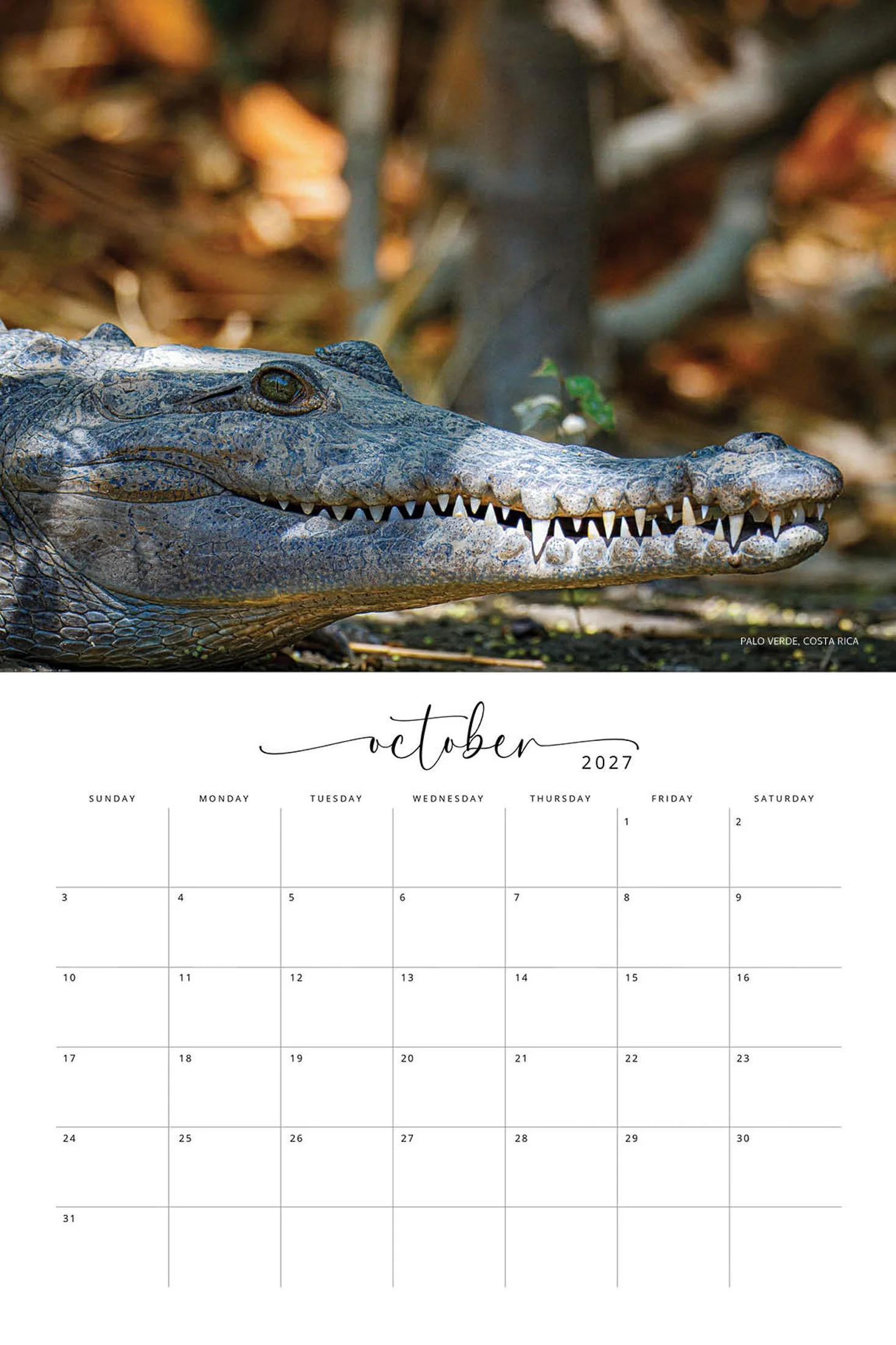 WILDLIFE CALENDAR SW- Web -151.jpg
