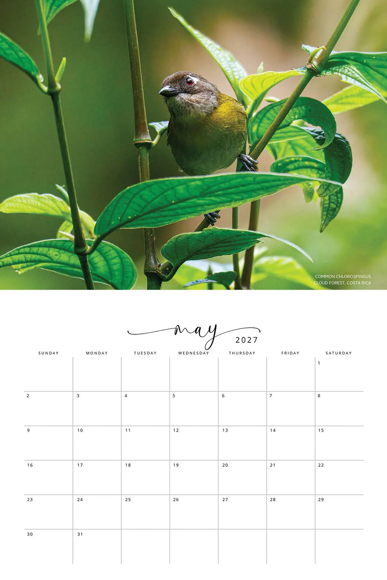 BIRD CALENDAR SW- Web -171.jpg