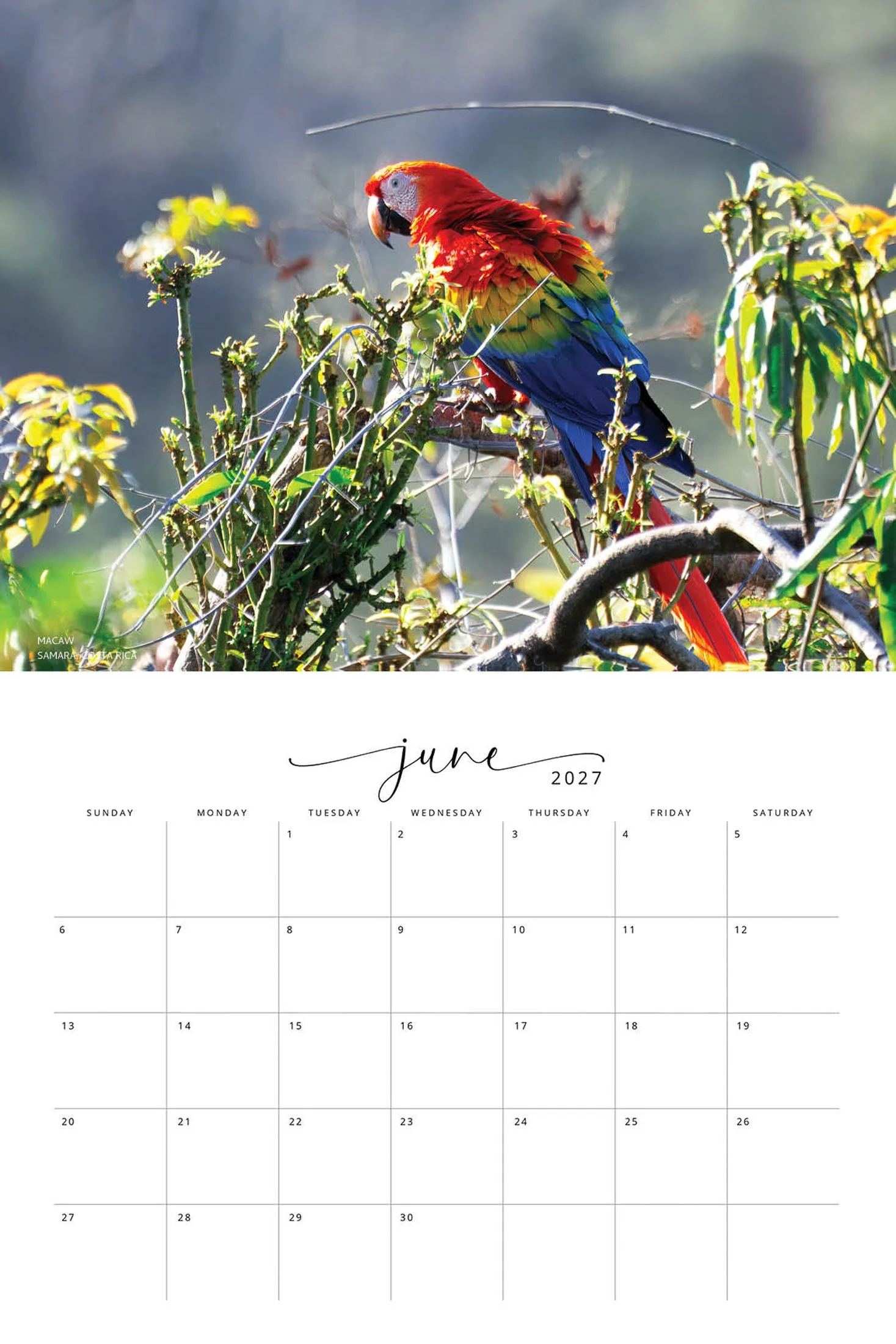 BIRD CALENDAR SW- Web -170.jpg