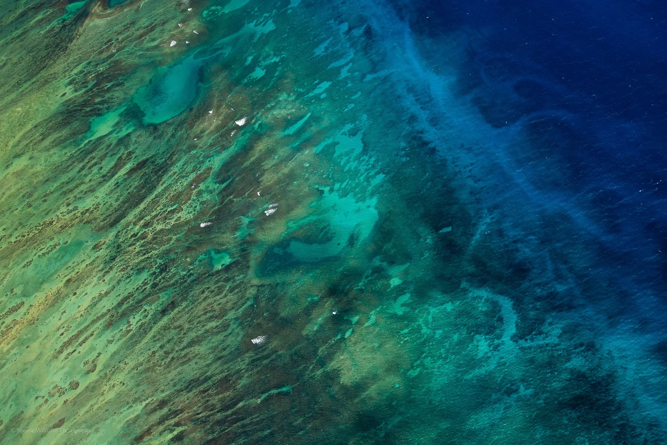 EBB & FLOW