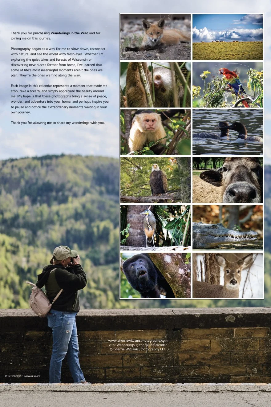 back wildlife.jpg
