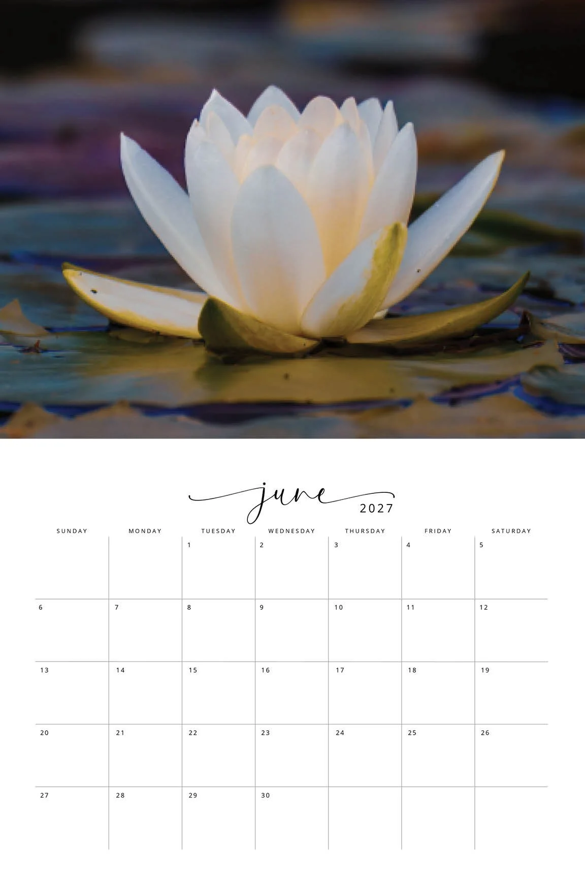 2027 Flora CALENDAR7.jpg