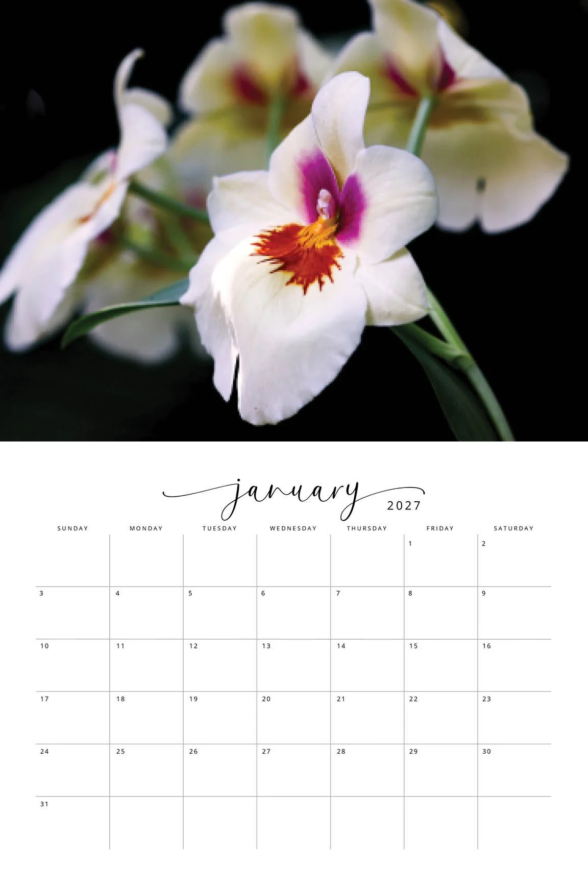 2027 Flora CALENDAR2.jpg