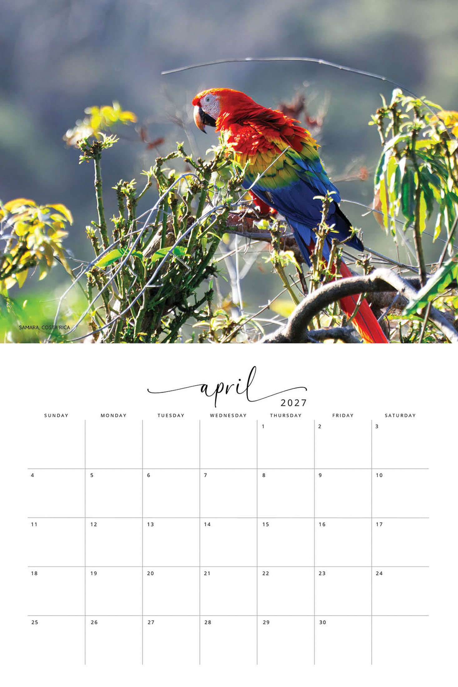 WILDLIFE CALENDAR SW- Web -157.jpg