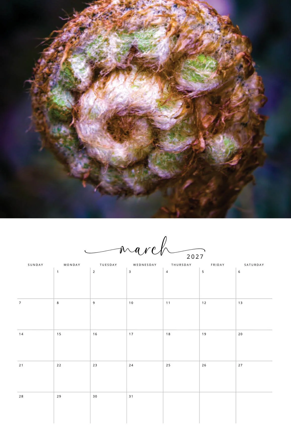 2027 Flora CALENDAR4.jpg