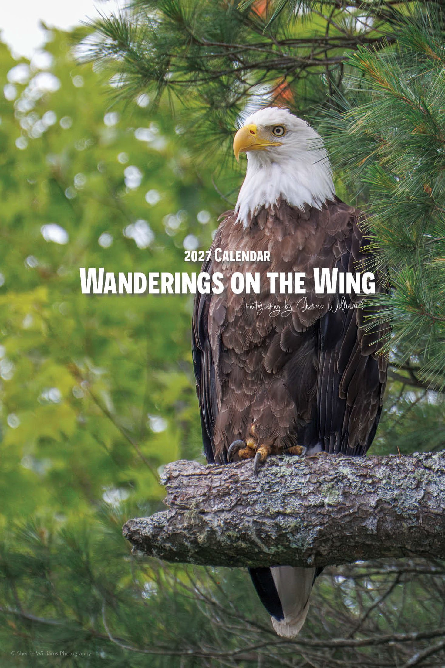 BIRD CALENDAR SW- Web -176.jpg