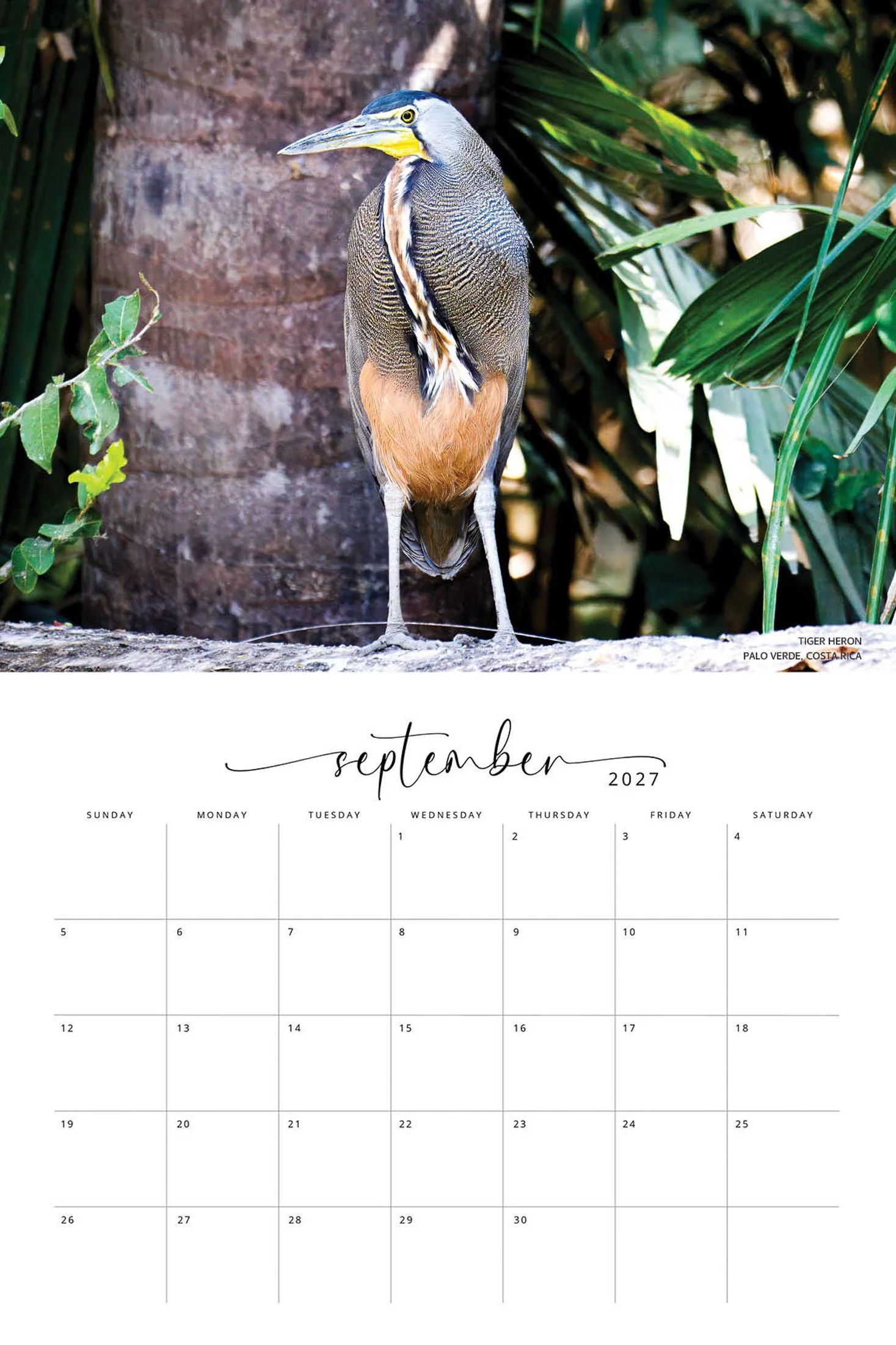 BIRD CALENDAR SW- Web -167.jpg