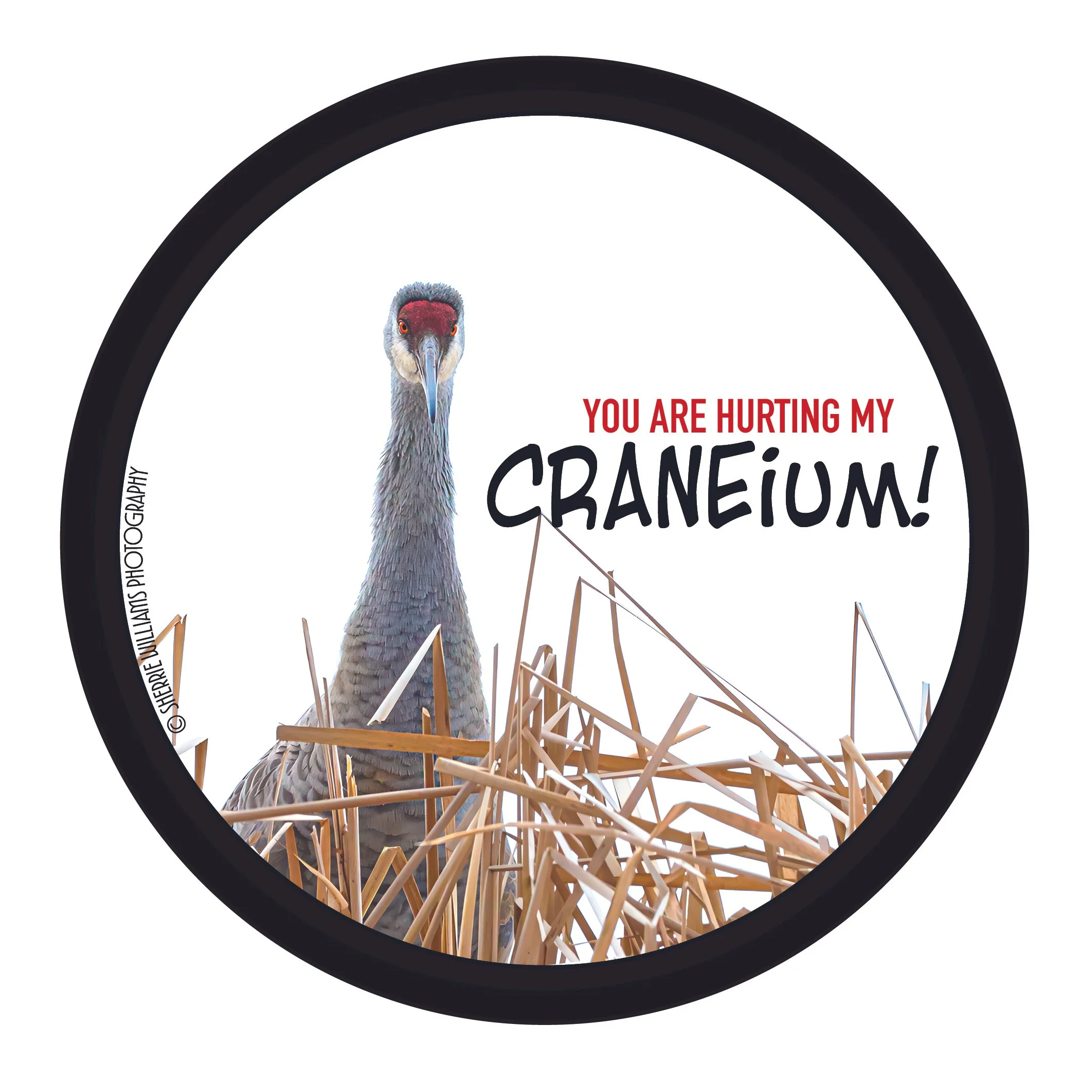 YOU ARE HURTING MY CRANeium