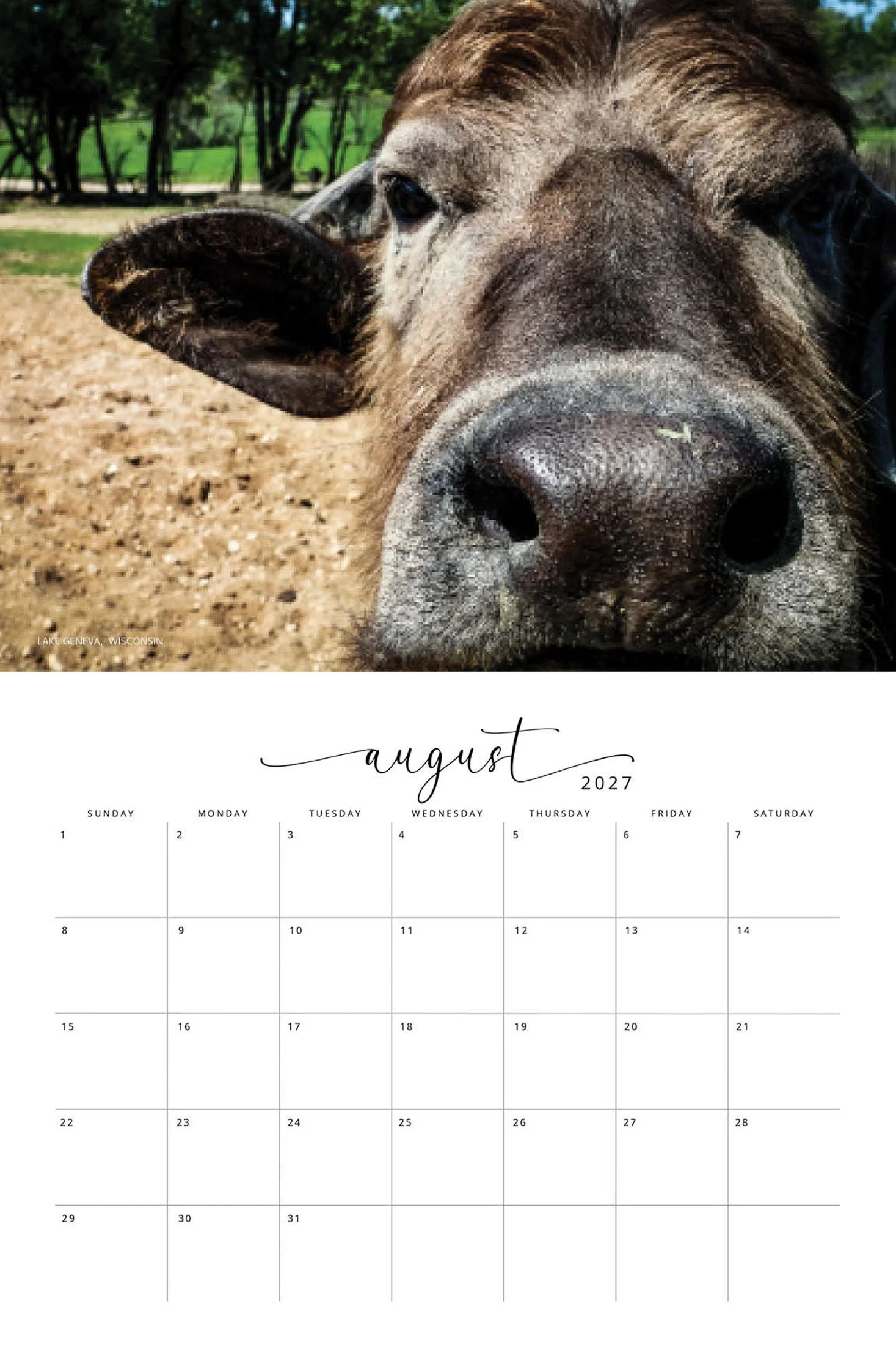 WILDLIFE CALENDAR SW- Web -153.jpg