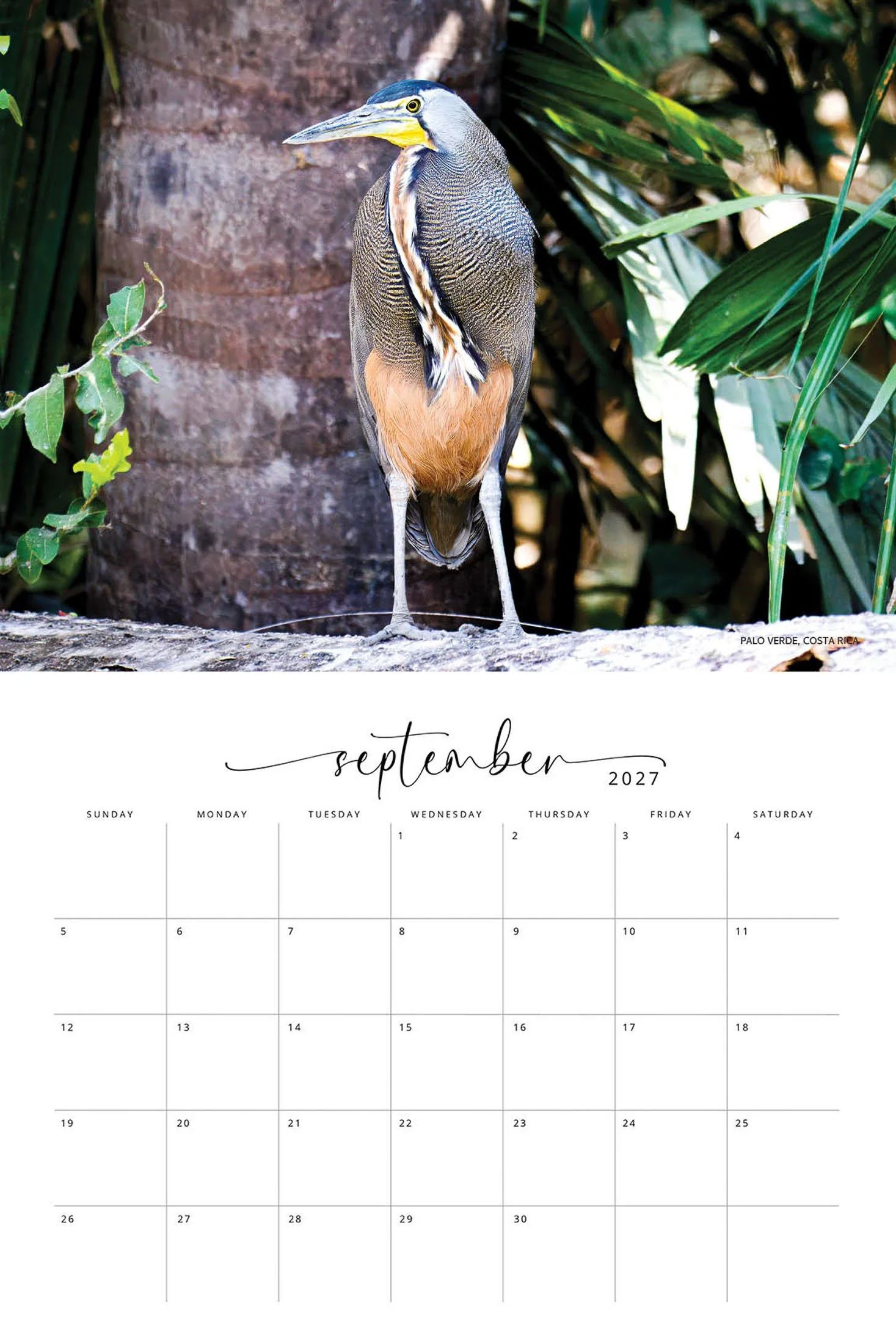 WILDLIFE CALENDAR SW- Web -152.jpg