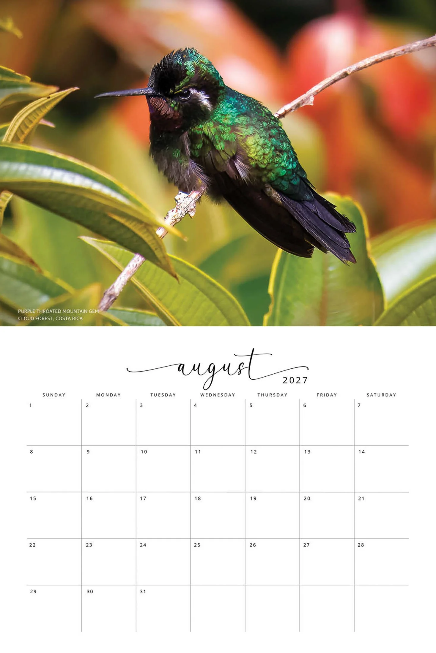 BIRD CALENDAR SW- Web -168.jpg