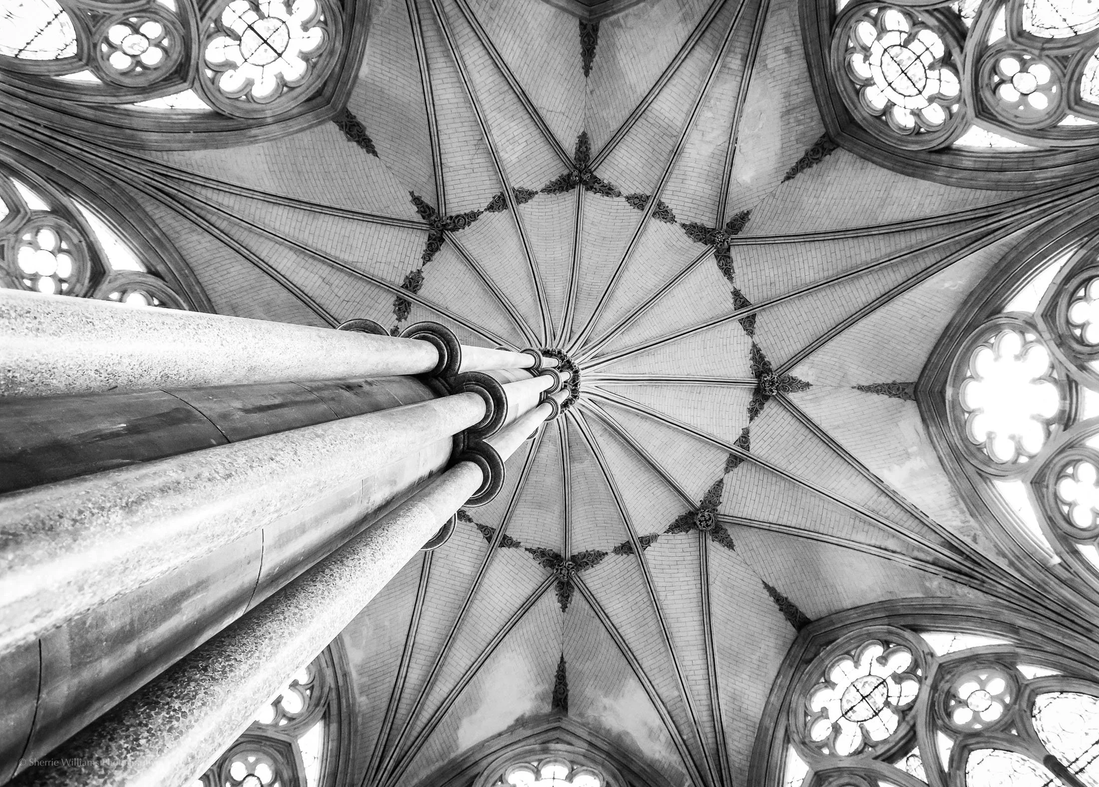 SALISBURY CATHEDRAL SWP- Web -103.jpg