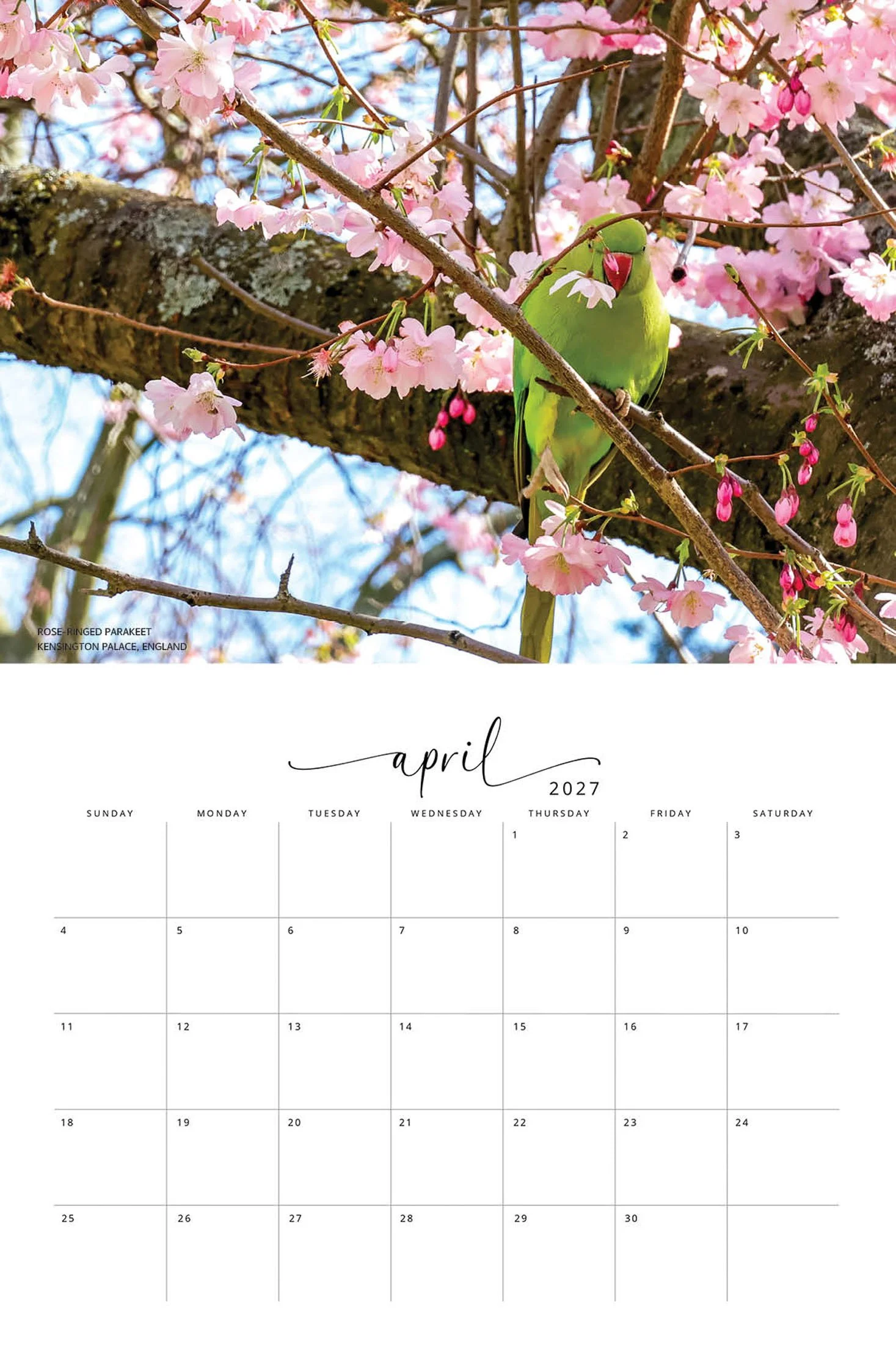 BIRD CALENDAR SW- Web -172.jpg