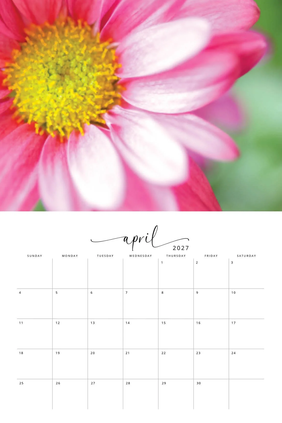 2027 Flora CALENDAR5.jpg