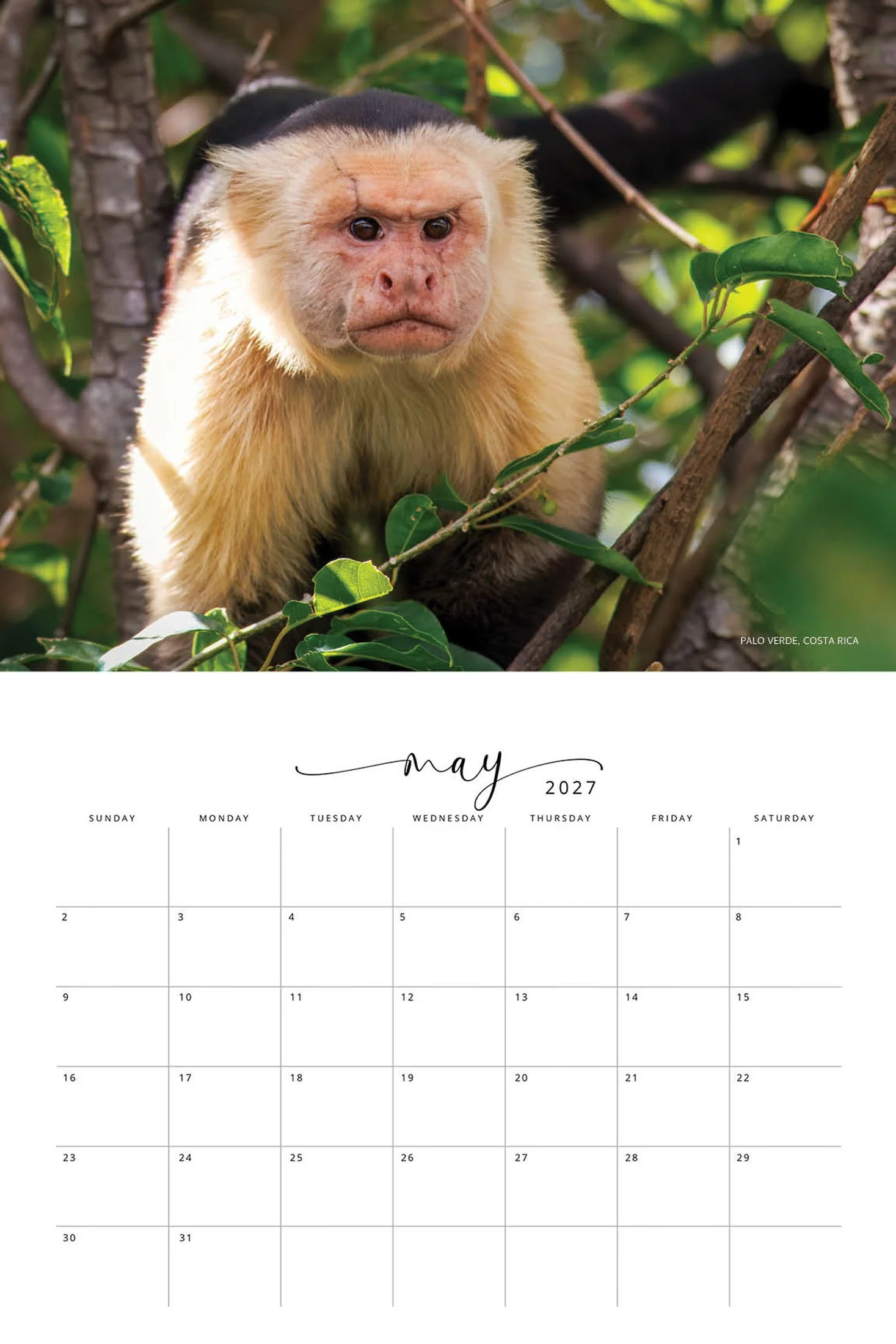 WILDLIFE CALENDAR SW- Web -156.jpg