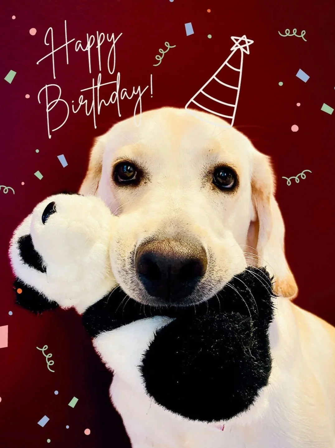 Happy Birthday (Puppy)