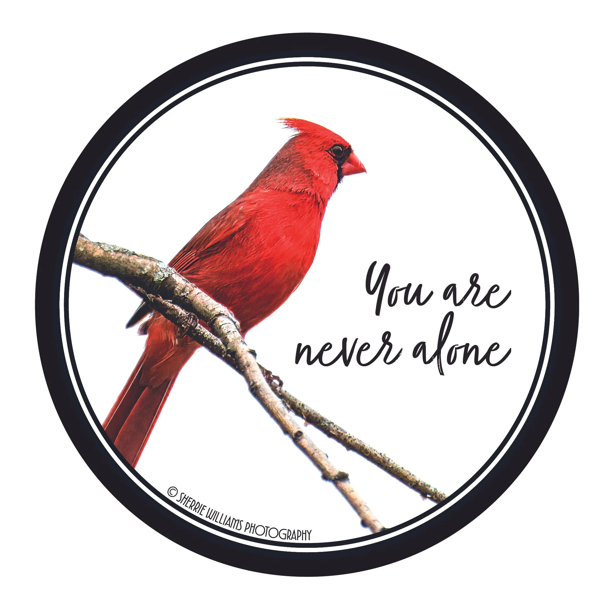 You are Never Alone
