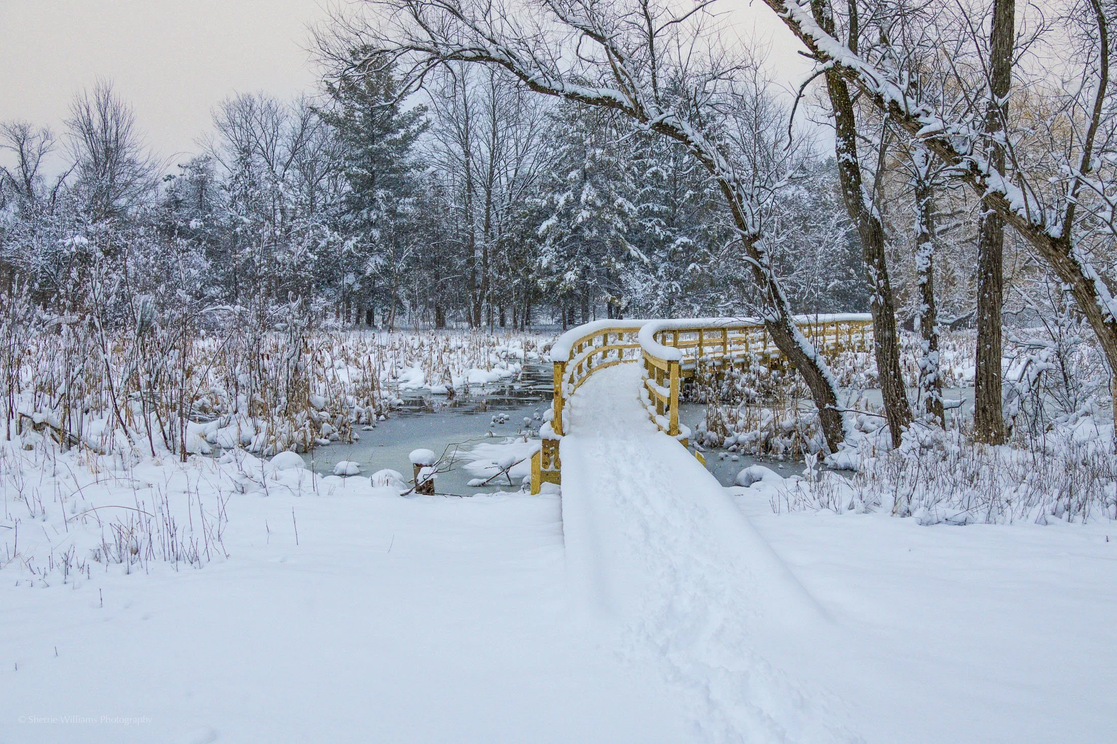 LAPHAM PEAK, KETTLE MORAINE, WI