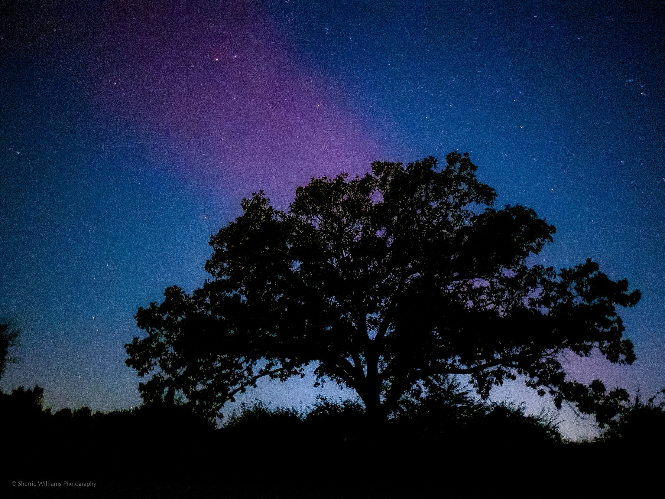 DELAFIELD, WI