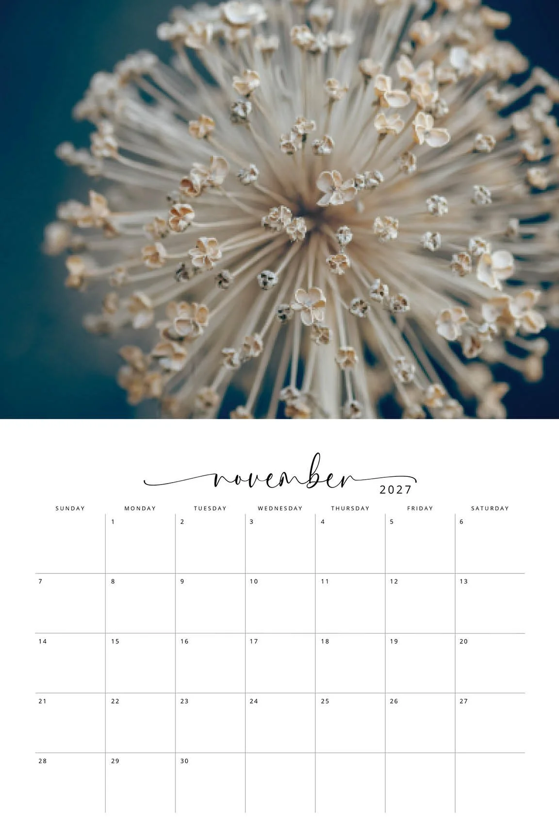 2027 Flora CALENDAR12.jpg