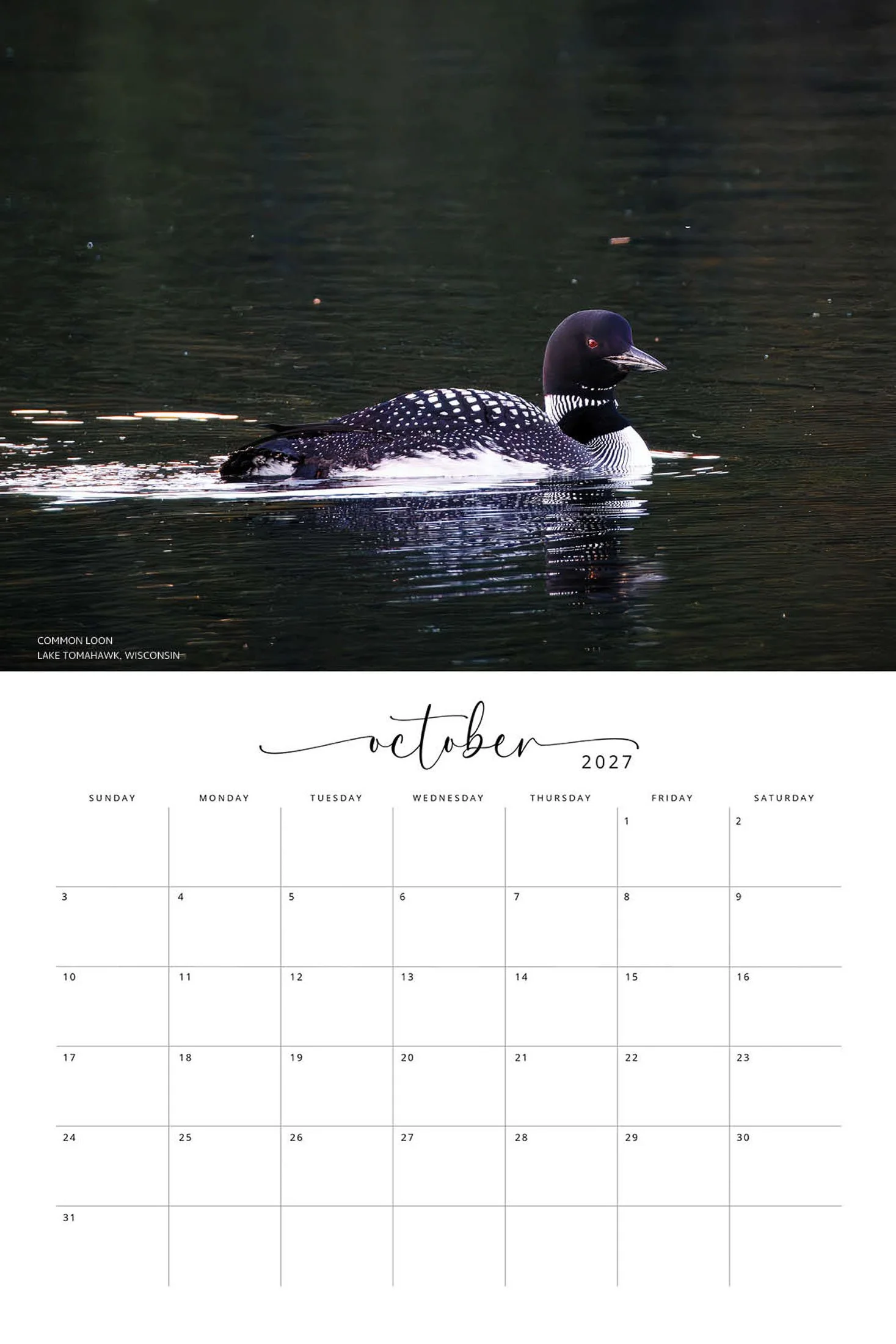 BIRD CALENDAR SW- Web -166.jpg