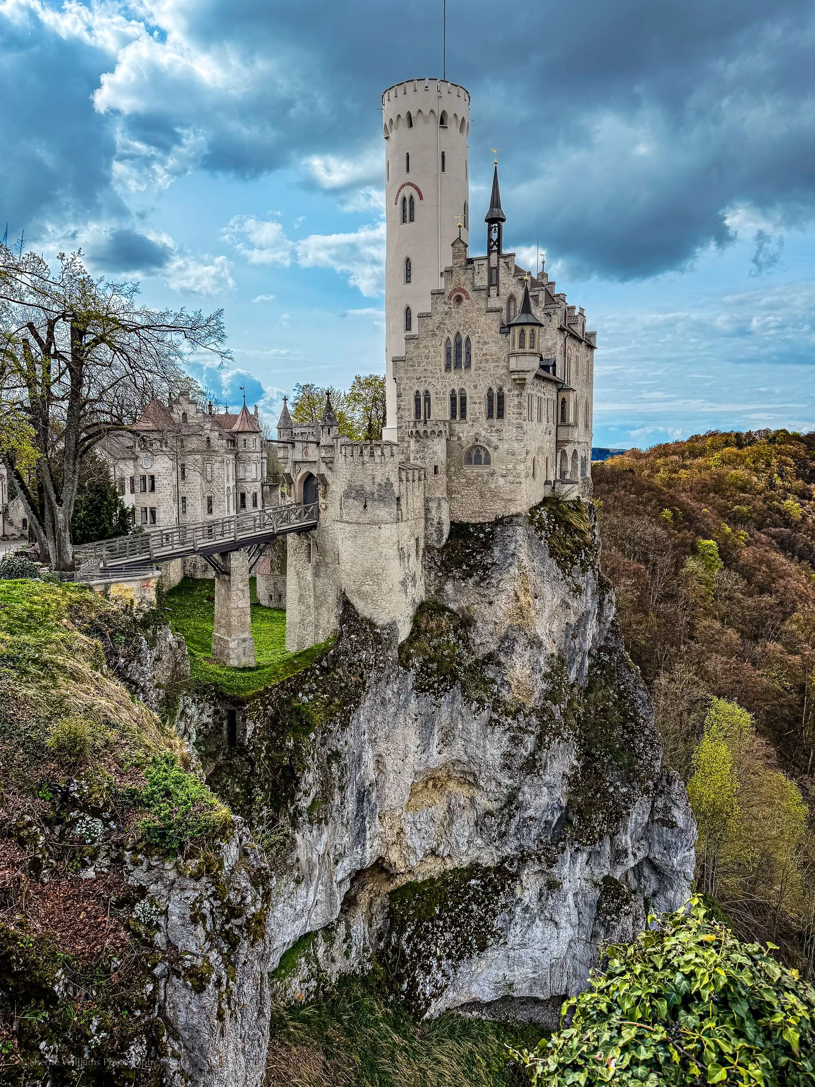landscape SWP- Web -48.jpg