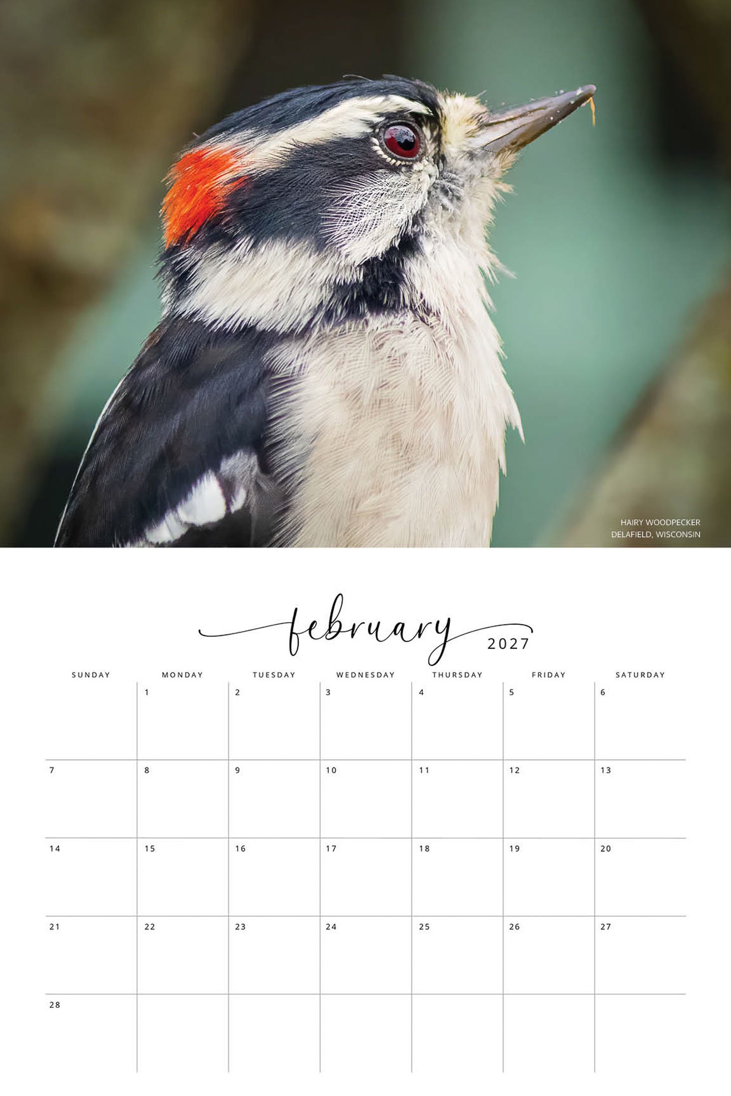 BIRD CALENDAR SW- Web -174.jpg