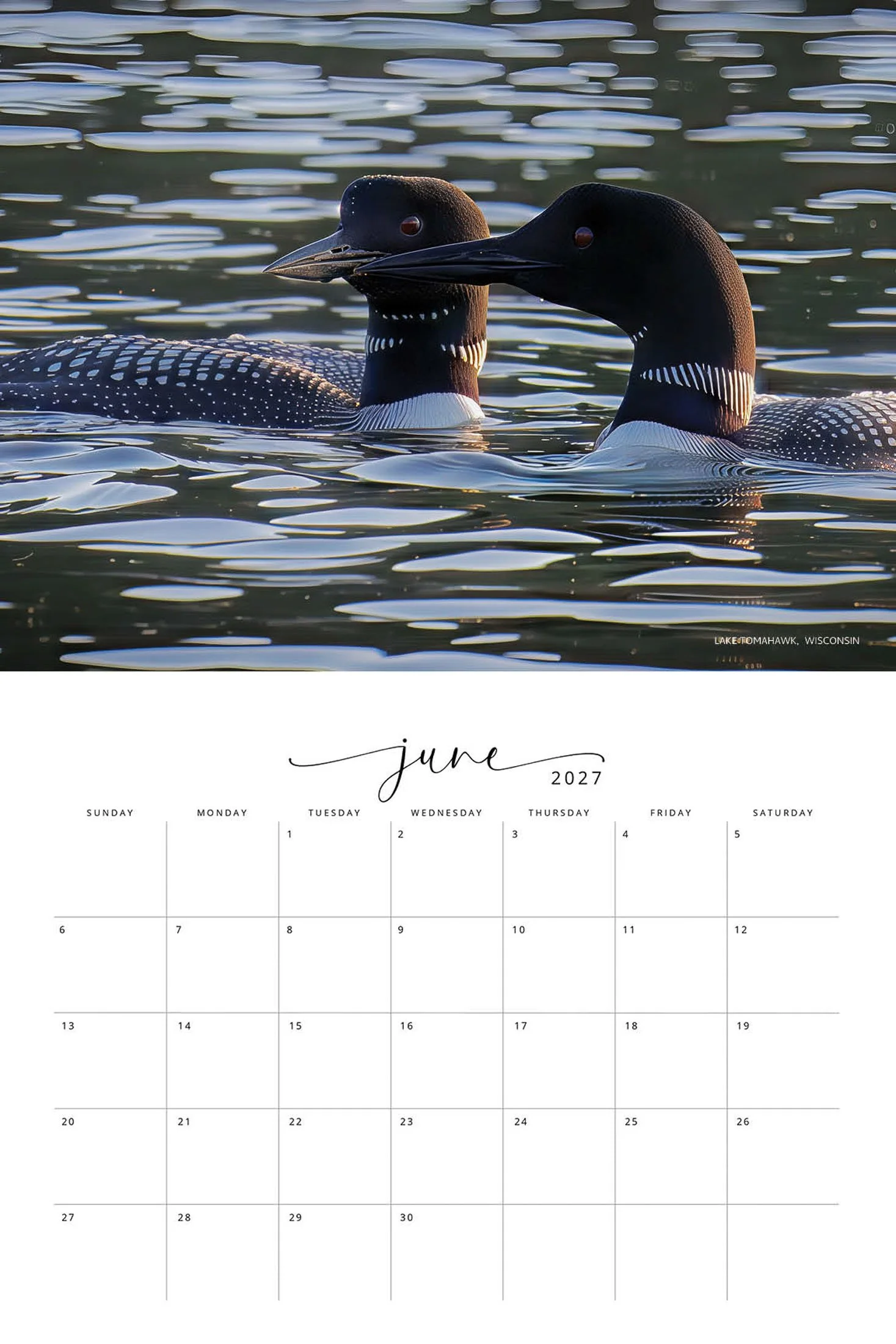 WILDLIFE CALENDAR SW- Web -155.jpg