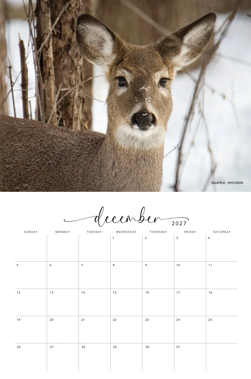 WILDLIFE CALENDAR