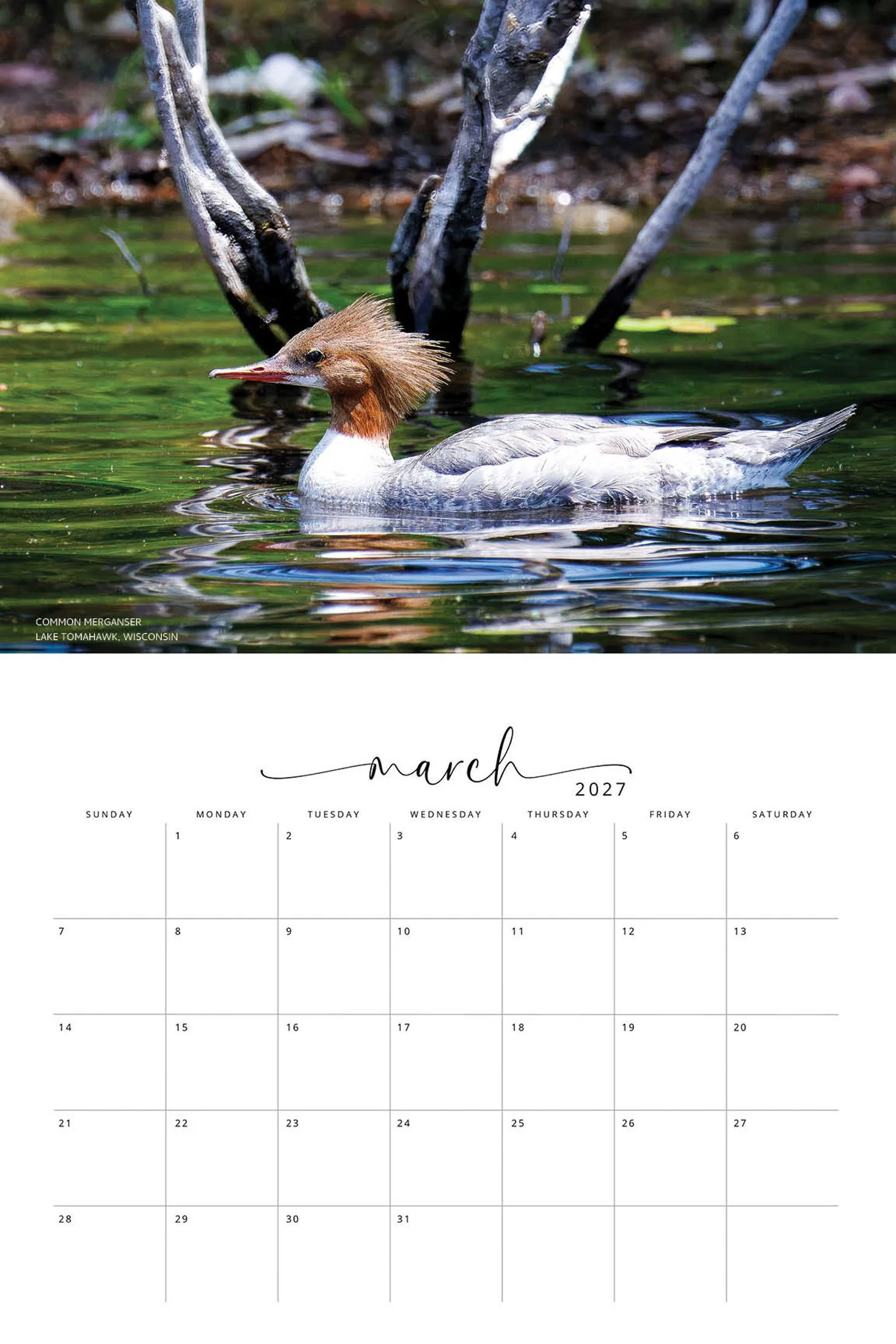 BIRD CALENDAR SW- Web -173.jpg