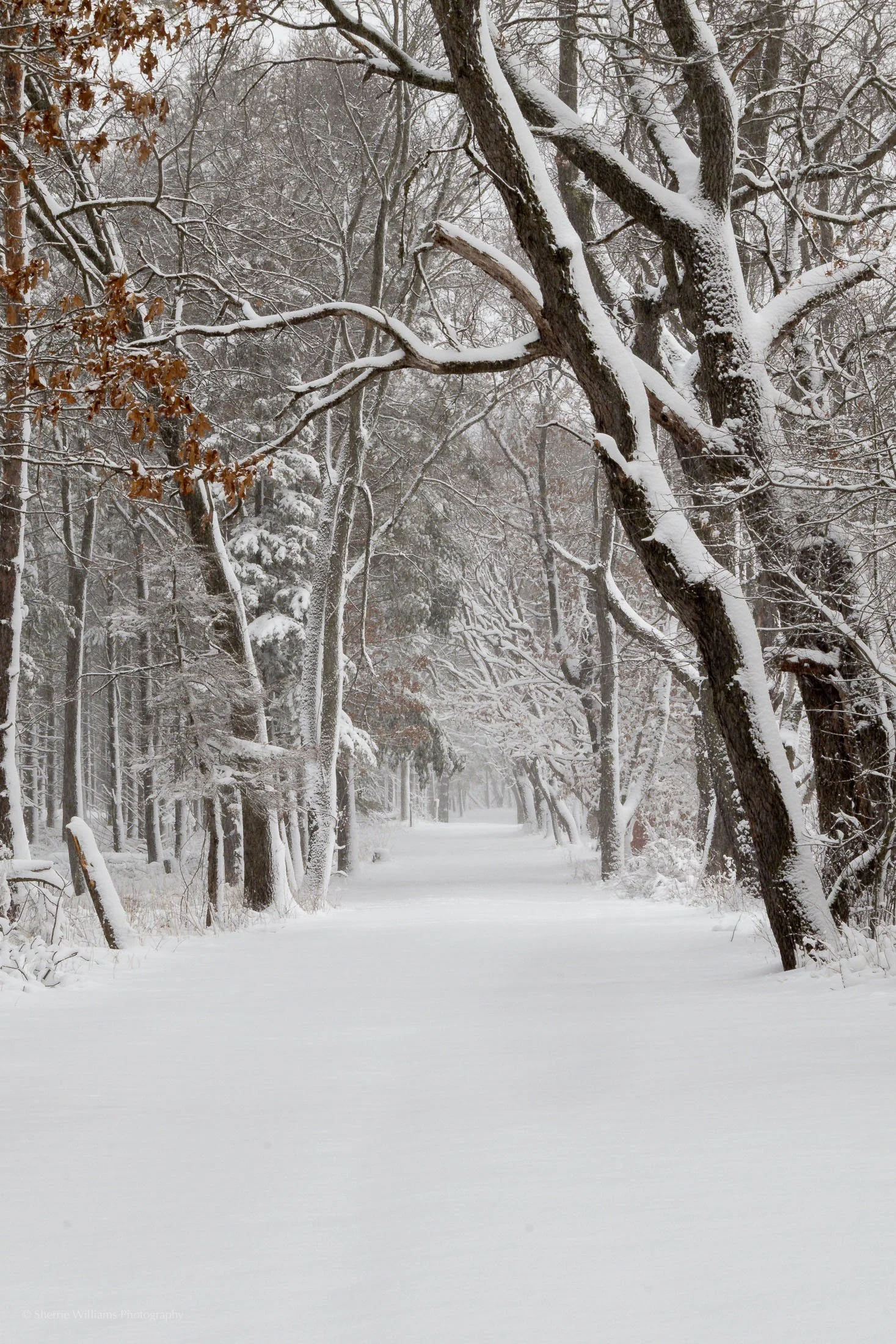 LAPHAM PEAK, KETTLE MORAINE, WI