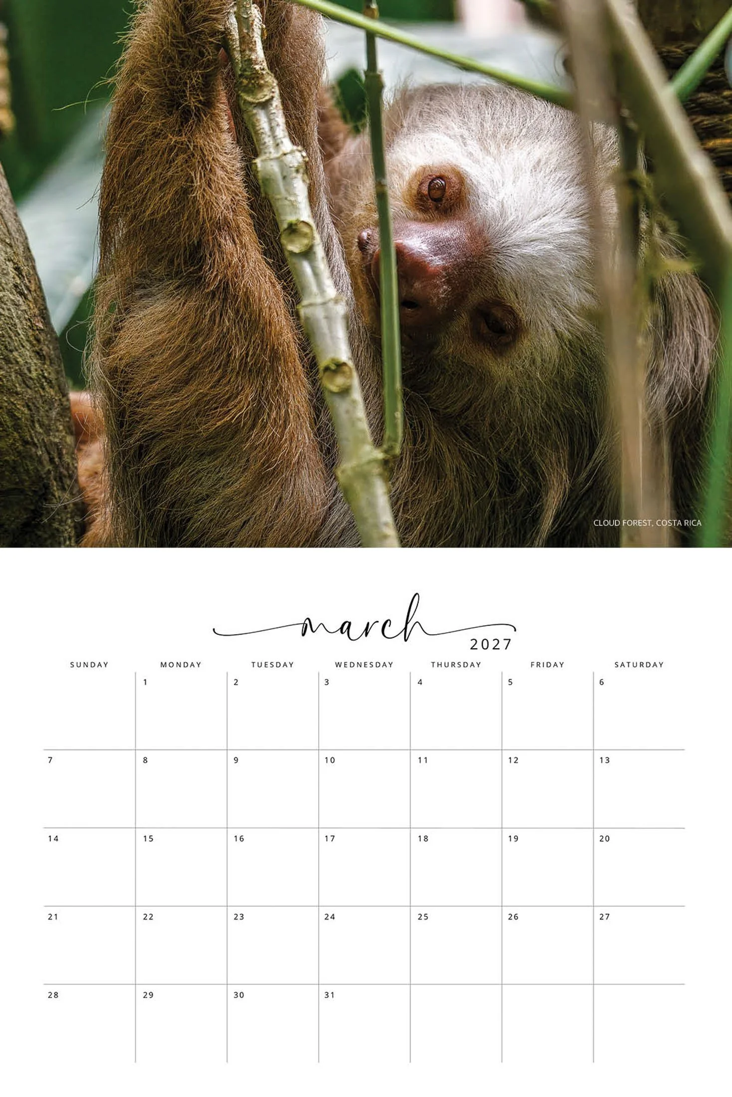 WILDLIFE CALENDAR SW- Web -158.jpg
