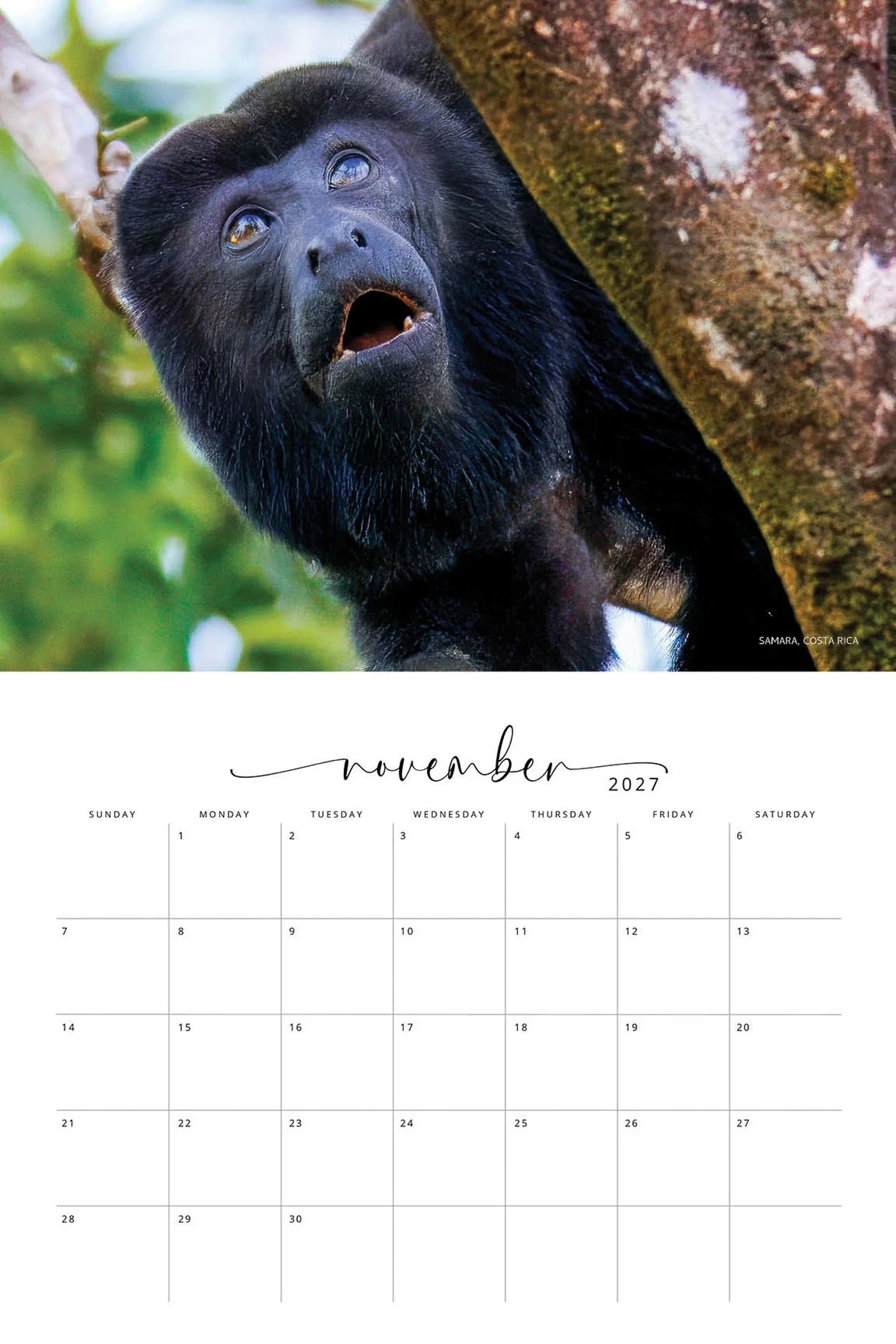 WILDLIFE CALENDAR SW- Web -150.jpg