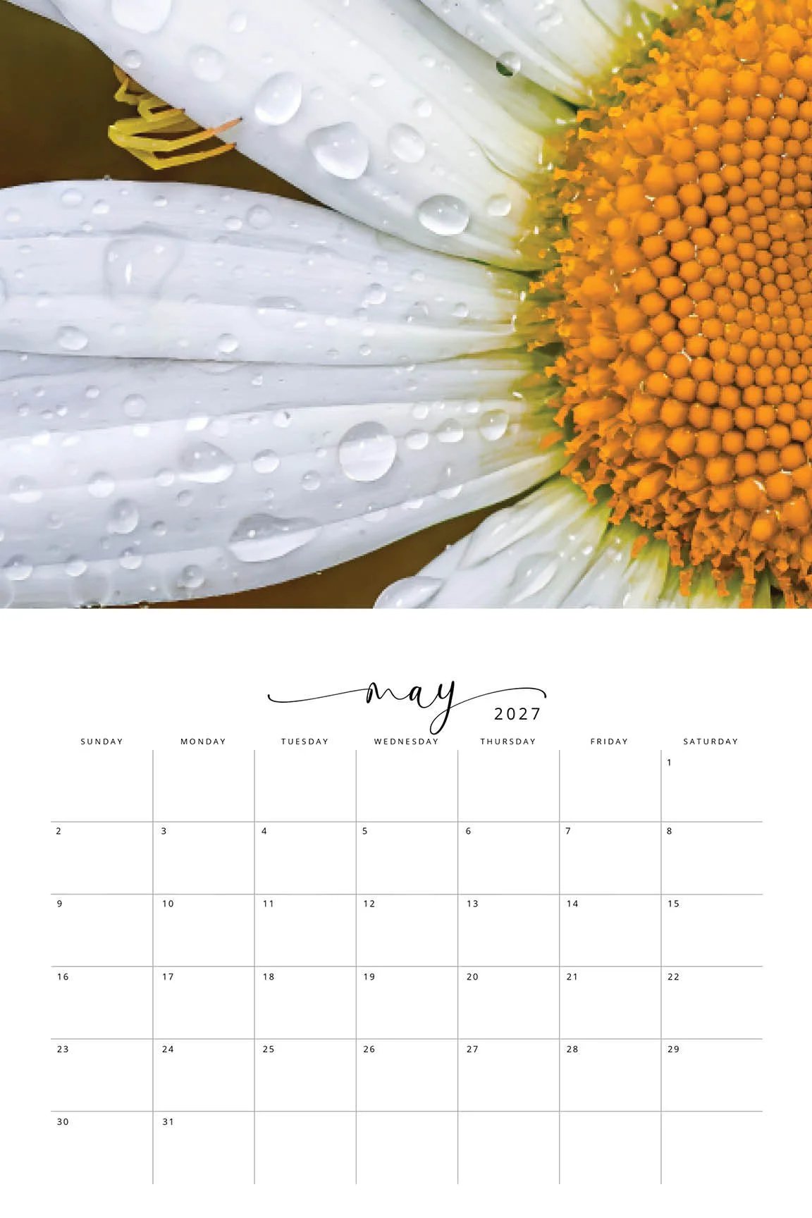 2027 Flora CALENDAR6.jpg