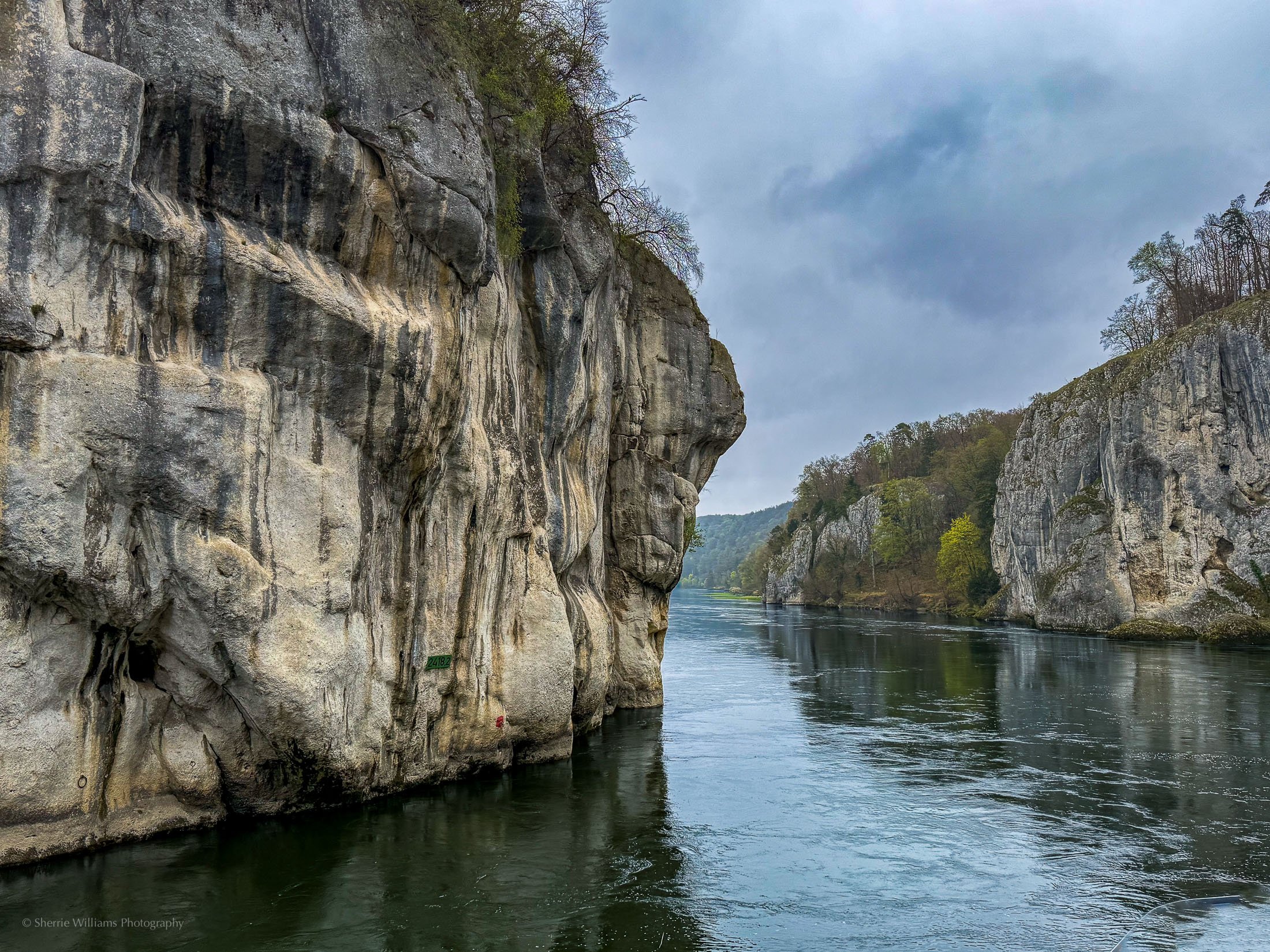 landscape SWP- Web -49.jpg