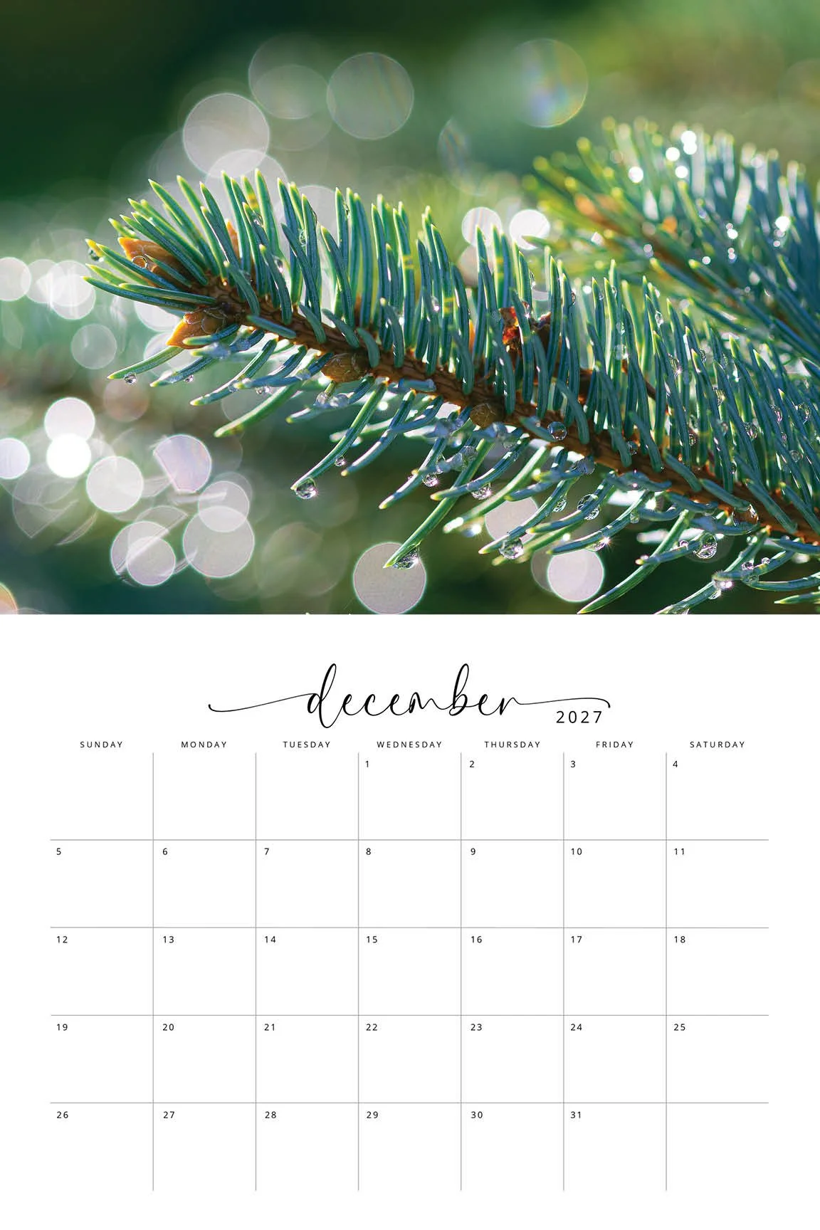 2027 Flora CALENDAR13.jpg
