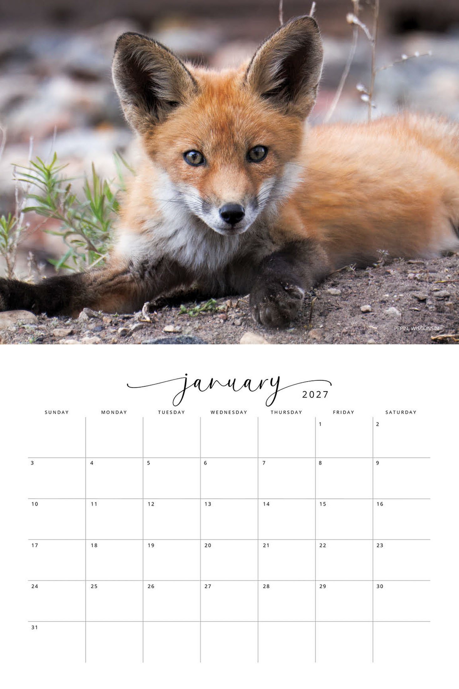 WILDLIFE CALENDAR SW- Web -160.jpg