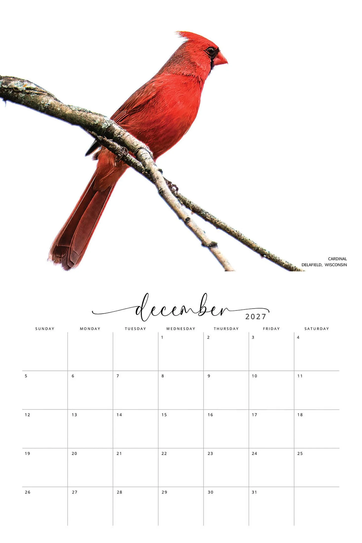 BIRD CALENDAR SW- Web -164.jpg