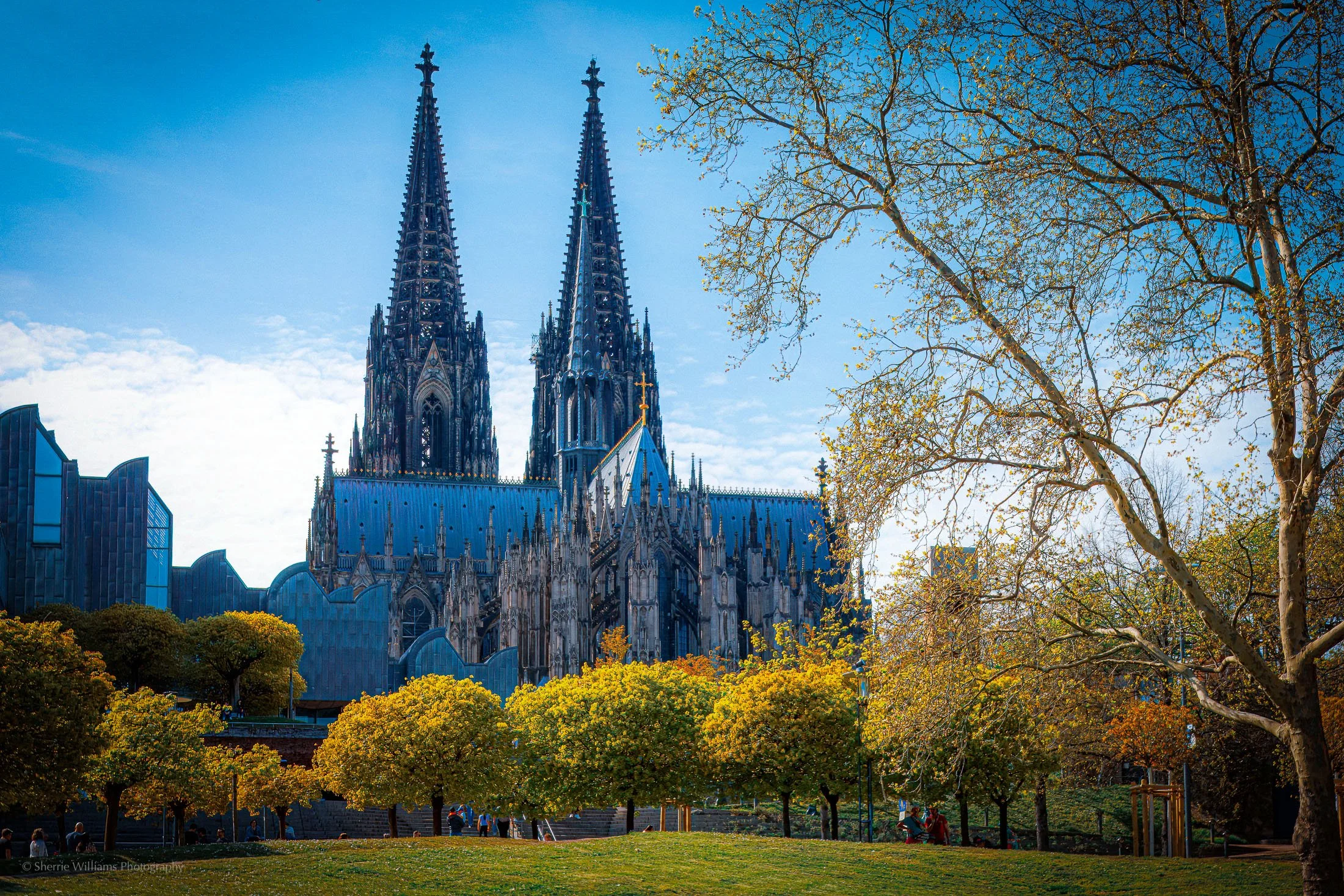 CATHEDRAL COLOGNE SW- Web -122.jpg