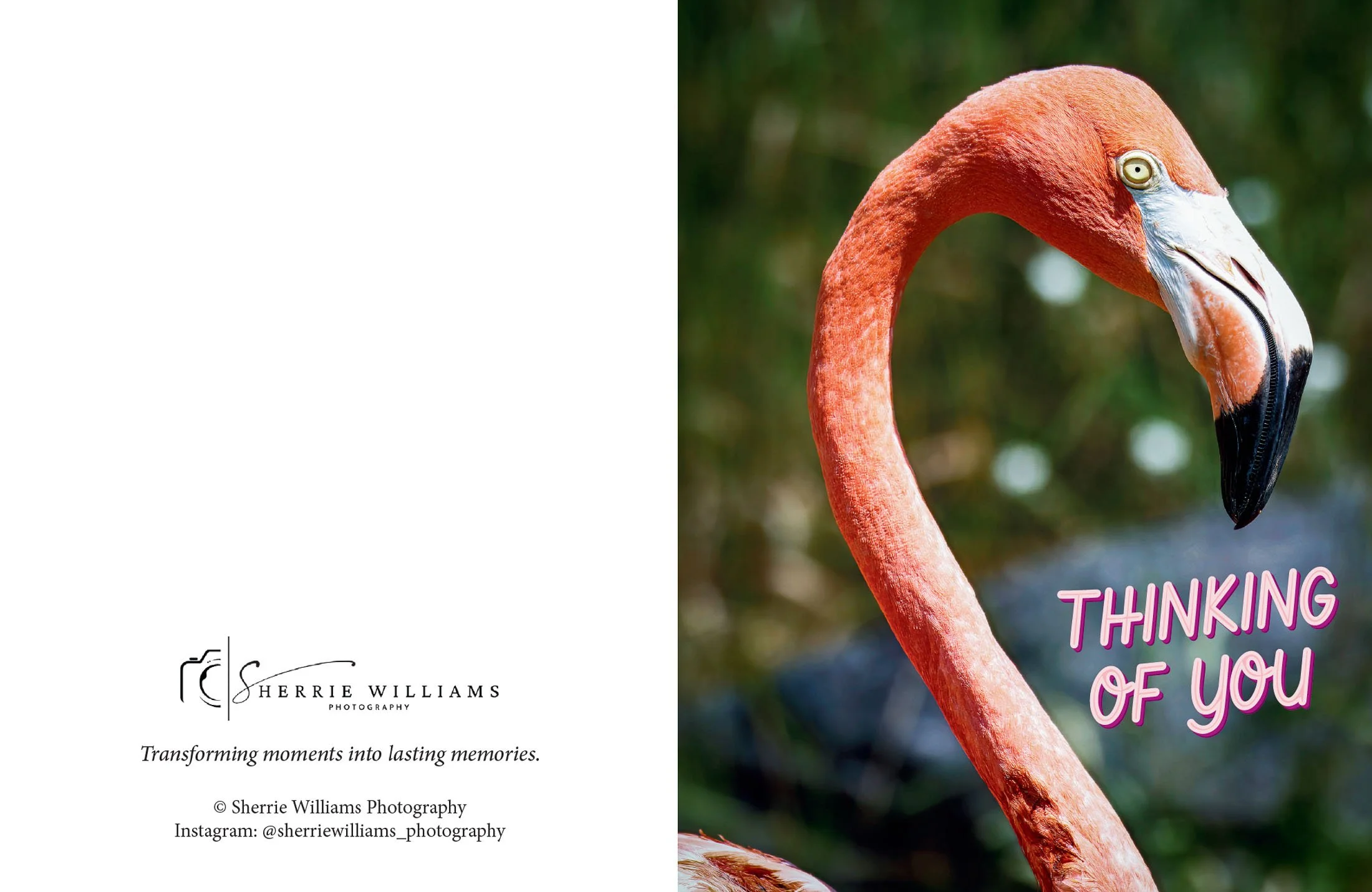 Thinking of You (Flamingo)