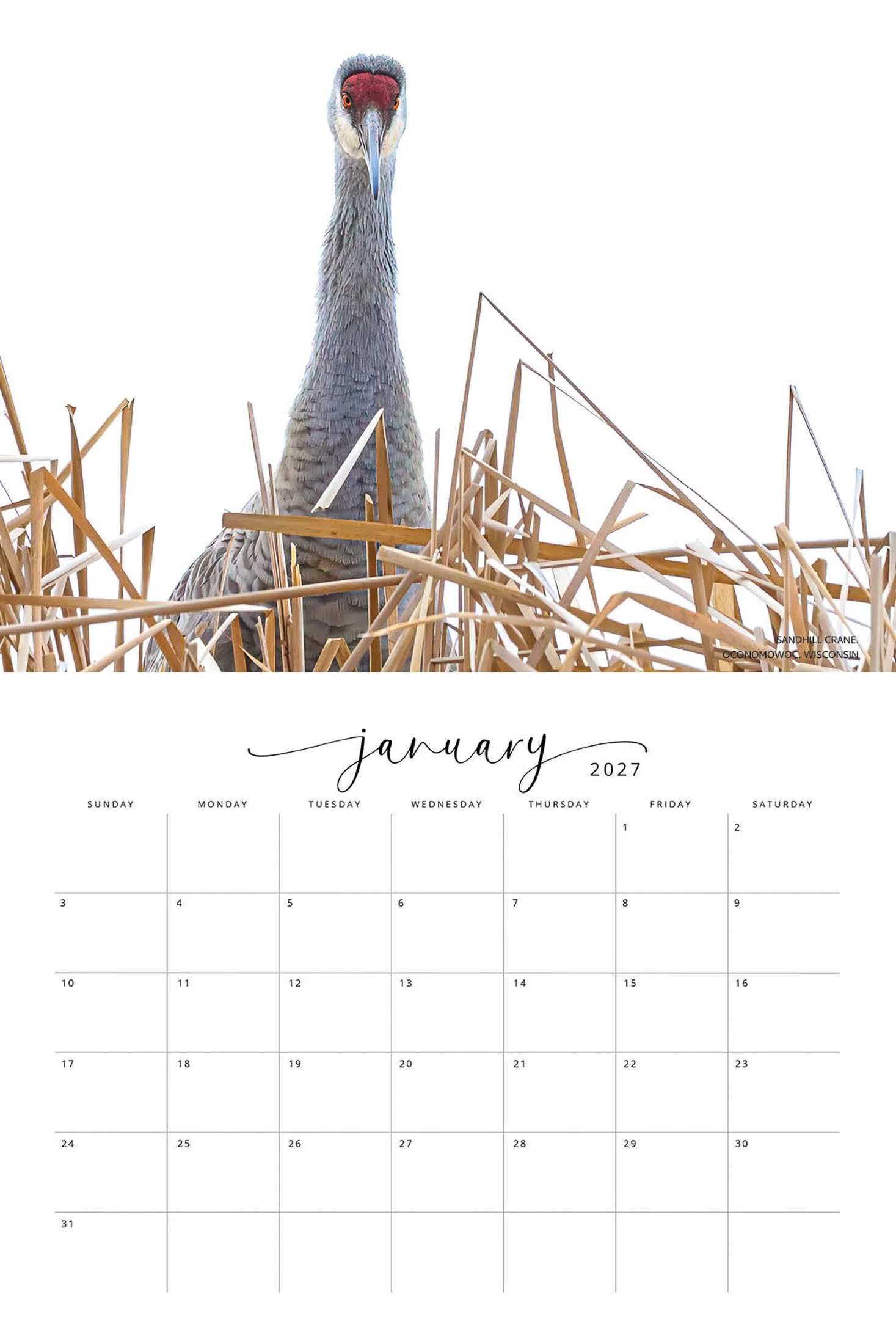 BIRD CALENDAR SW- Web -175.jpg
