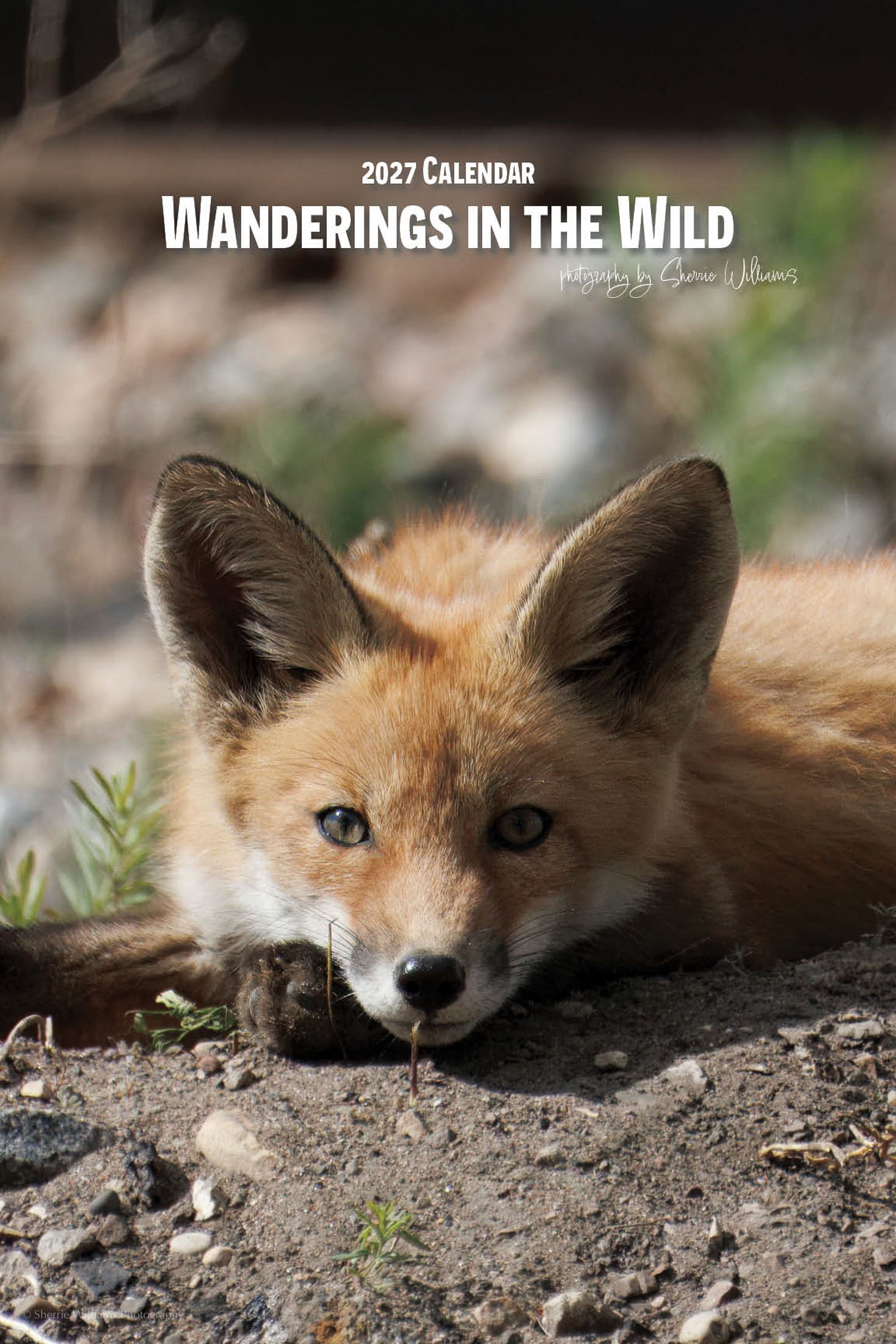 WILDLIFE CALENDAR SW- Web -161.jpg
