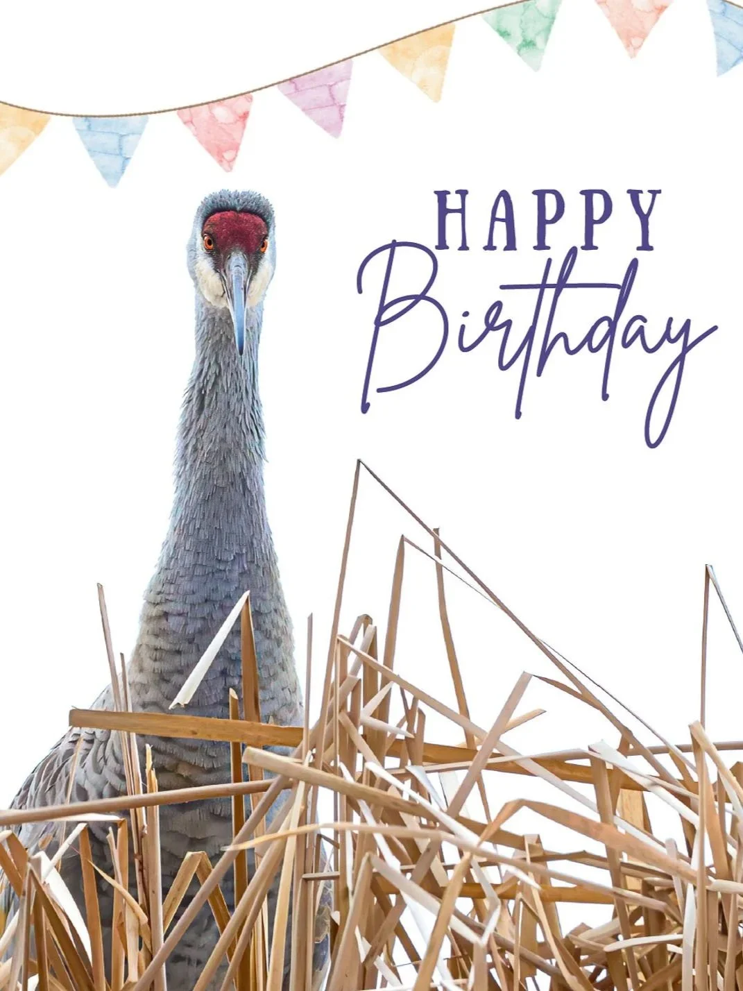 Happy Birthday (Crane)
