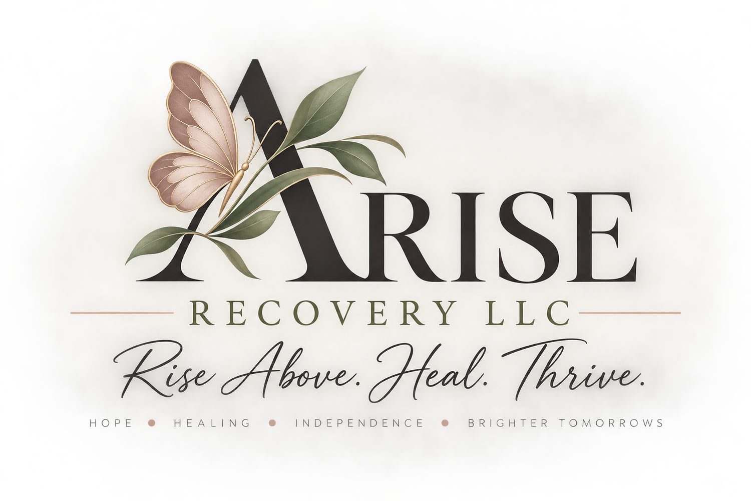 ARISE Recovery LLC