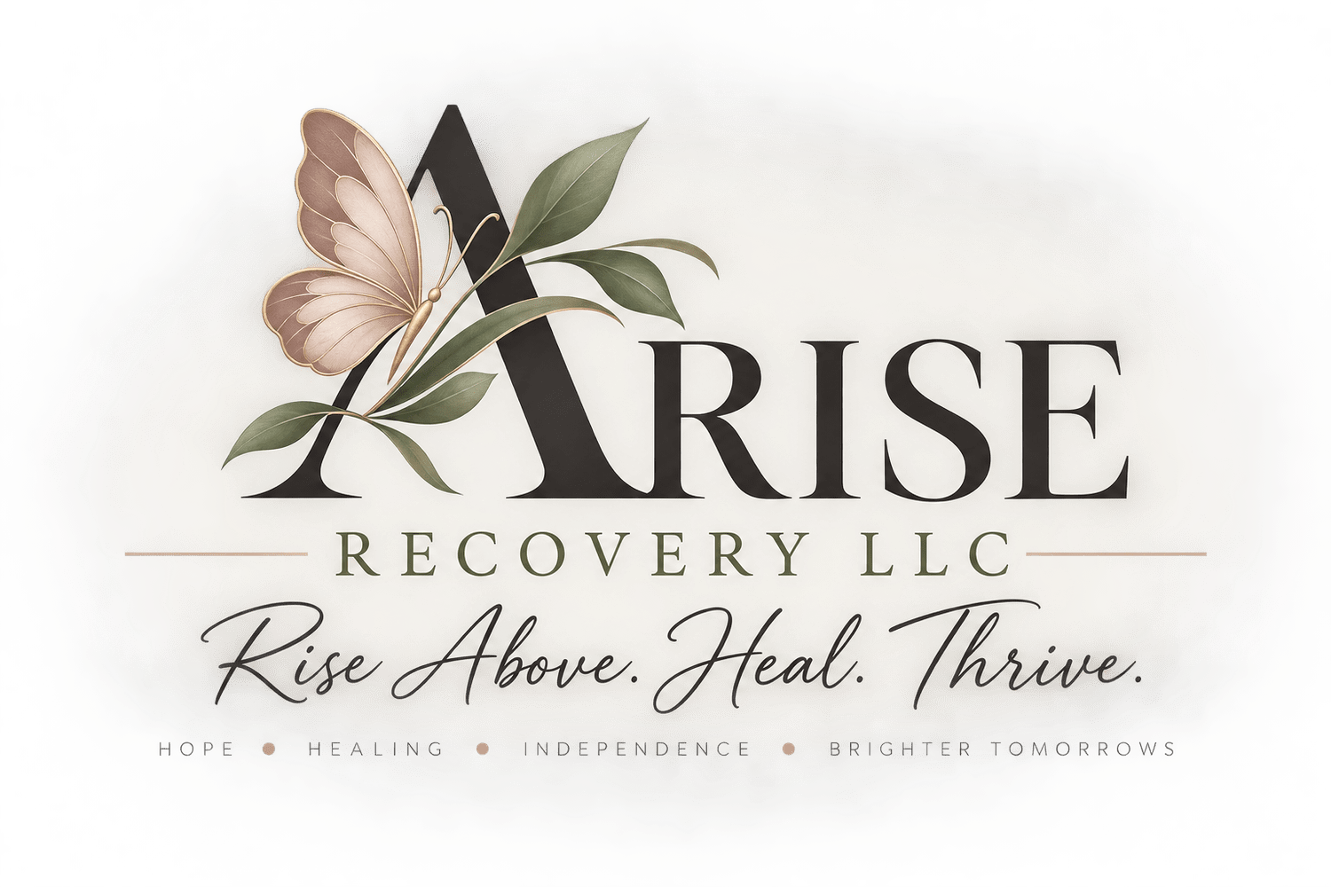 ARISE Recovery LLC