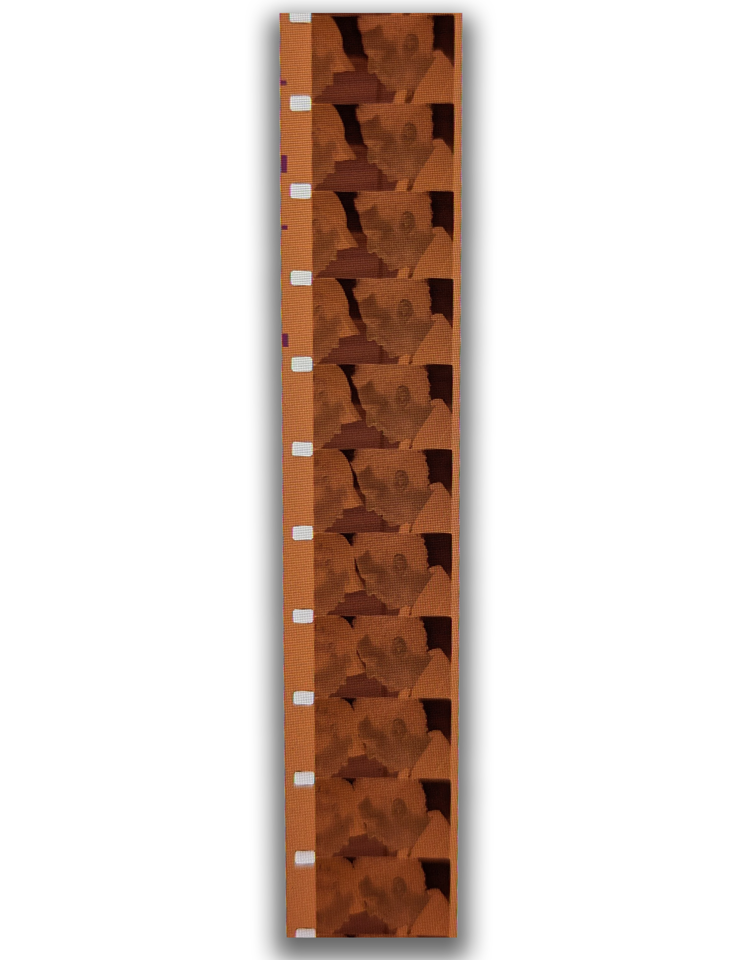 Film Strip_2.png