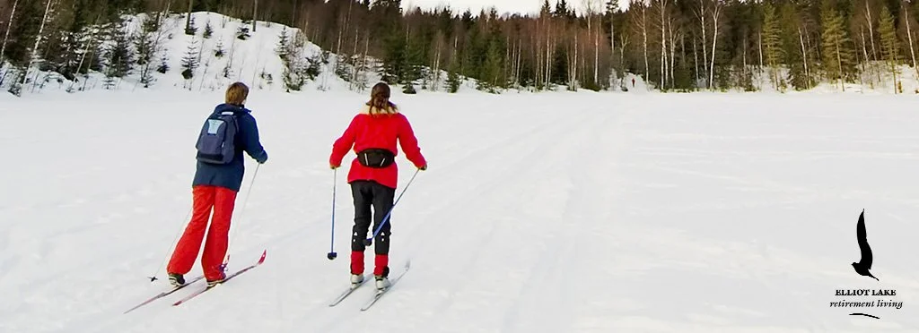 Two people cross-country skiing on a snow-covered field with trees in the background.