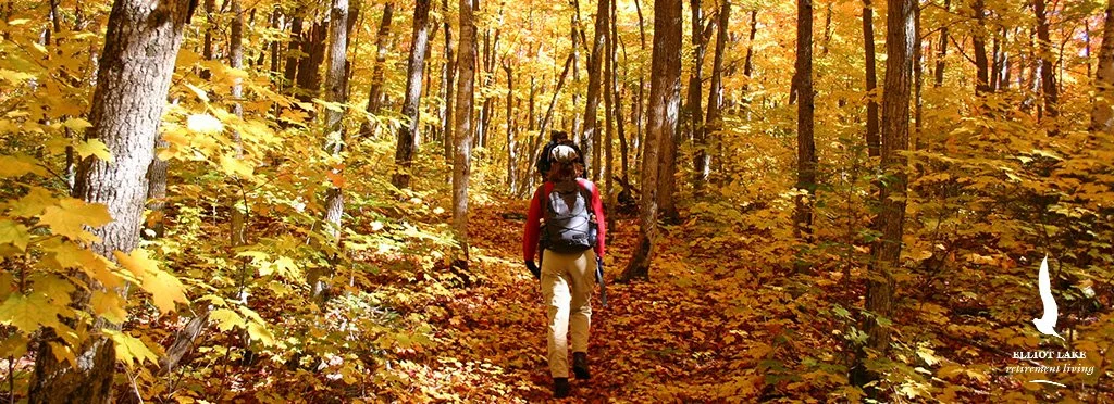 Person hiking on a trail through an autumn forest with yellow and orange leaves.