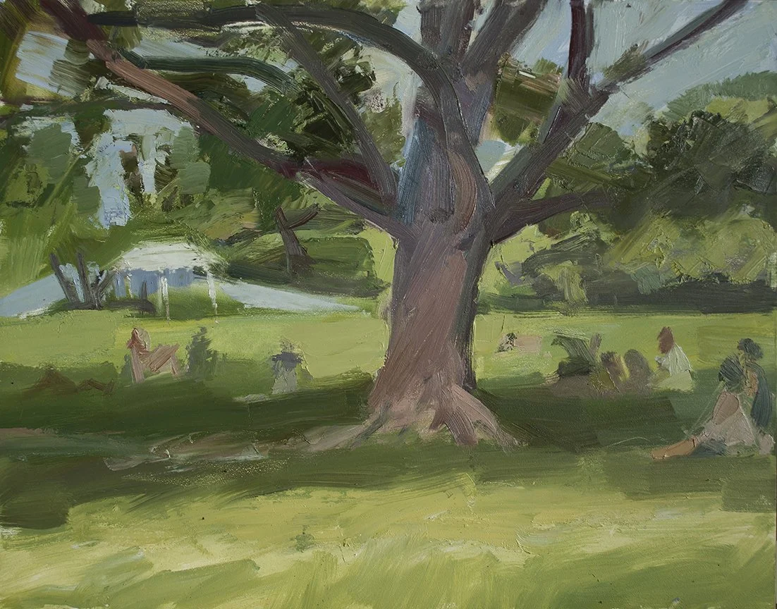 Cloisters Lawn, Gingo Tree, 11" x 14", Oil, Panel